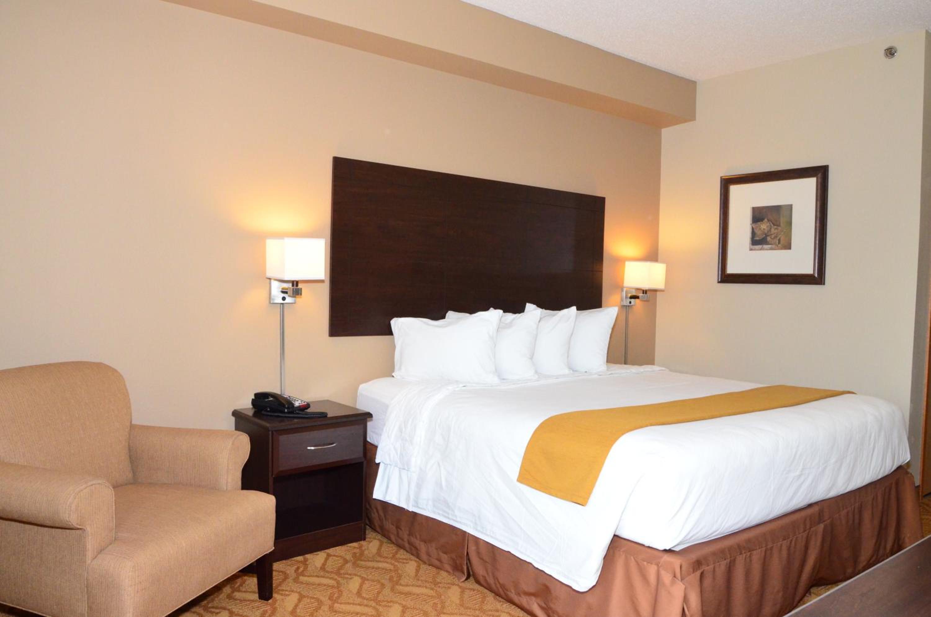 King Room - Disability Access photo 1