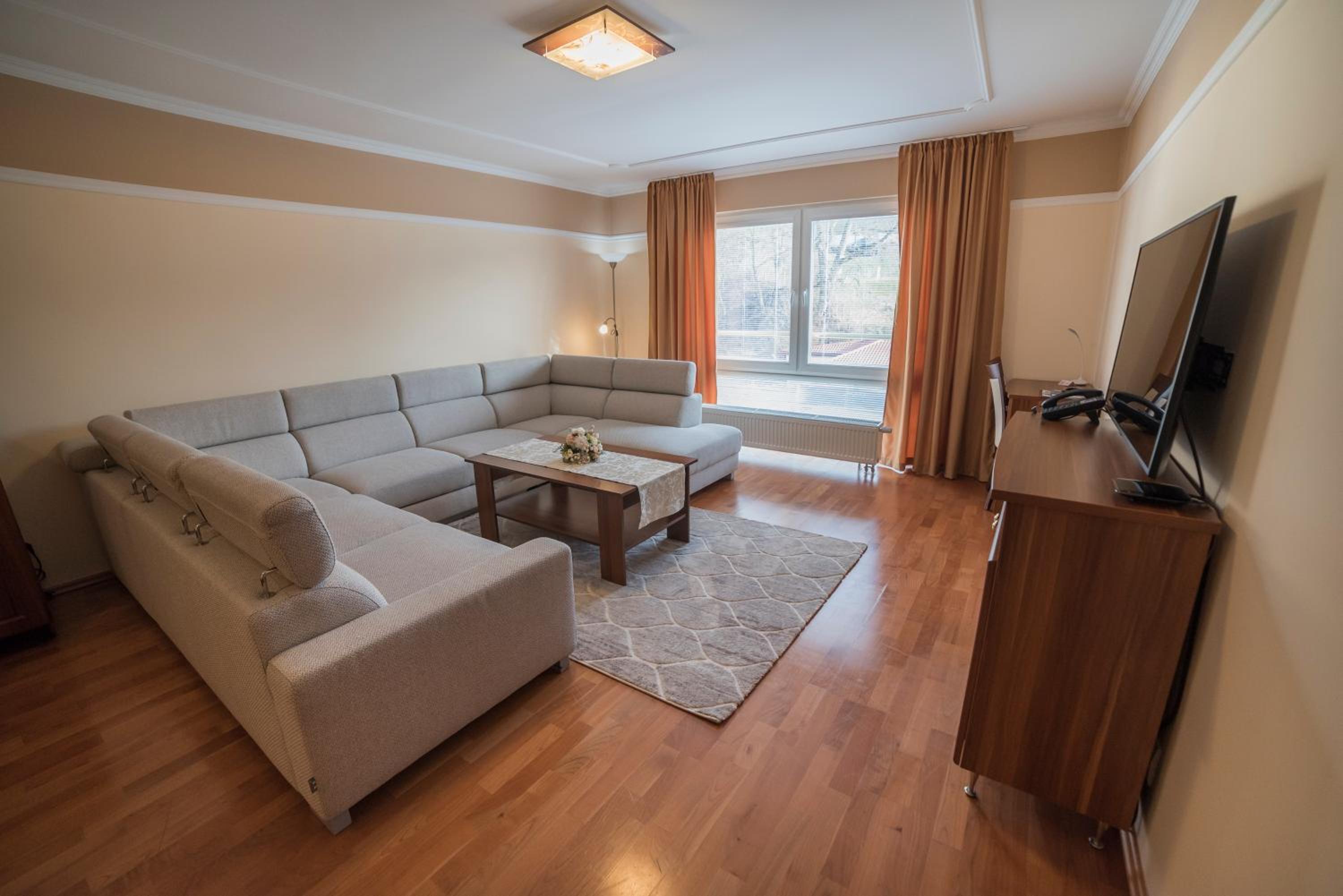 One-Bedroom Apartment - Photo 3
