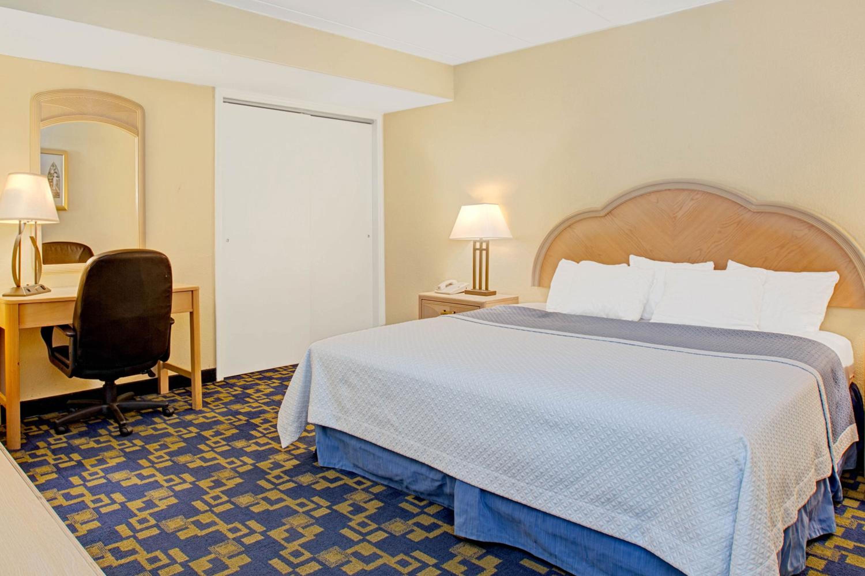 Deluxe King Suite - Photo 3