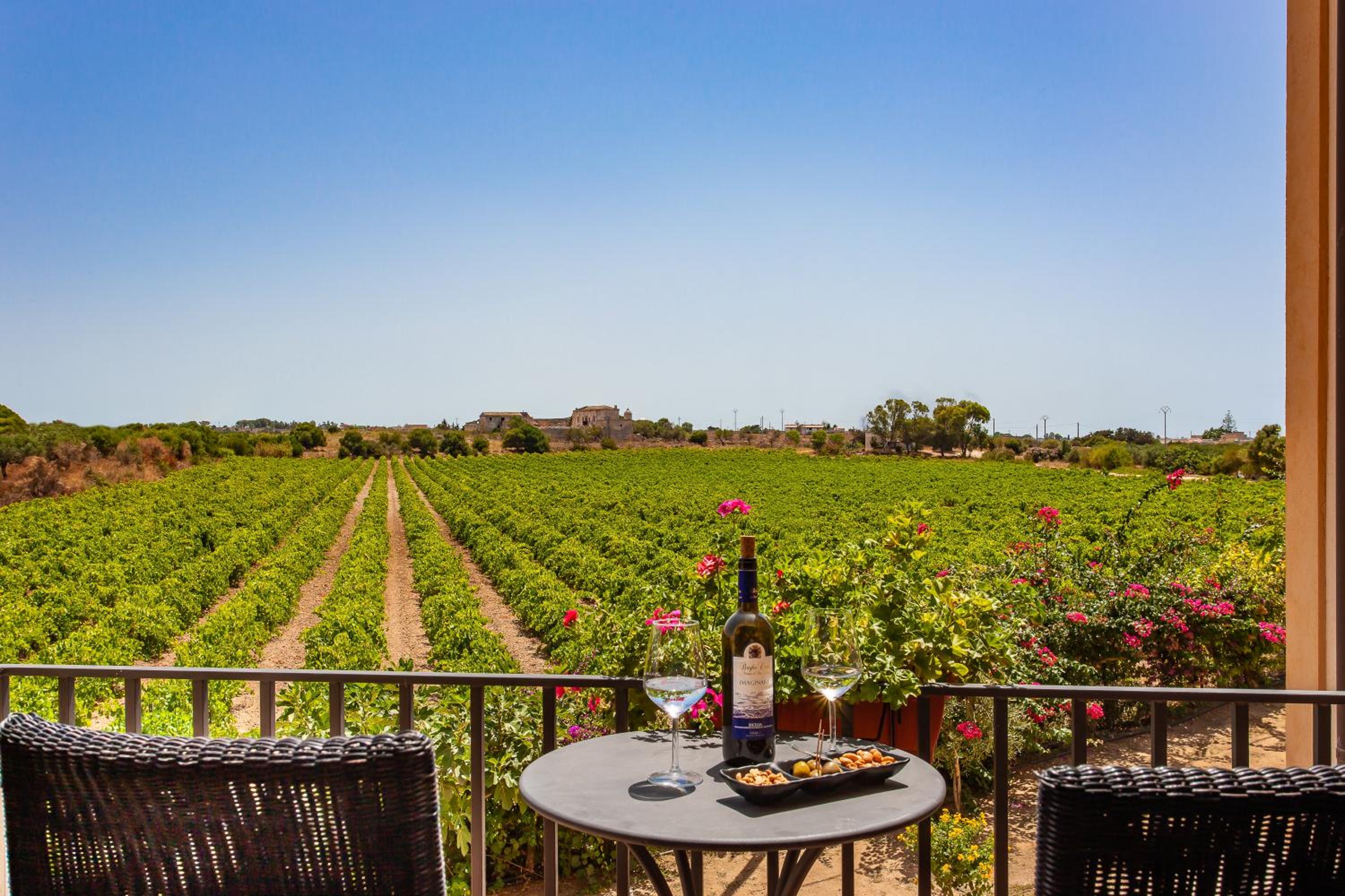 Junior Suite with Vineyard View
