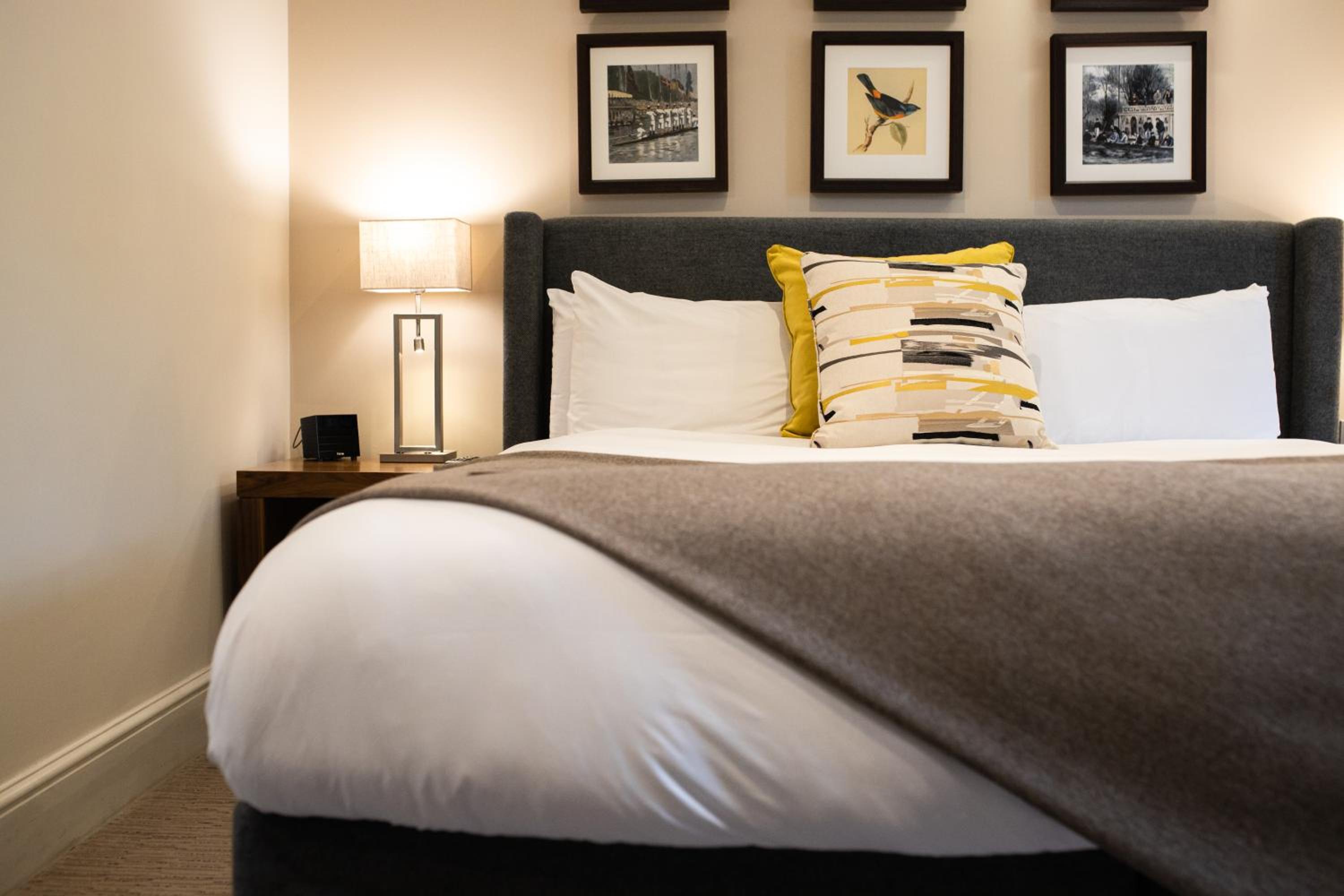 Premium King Room - Photo 1