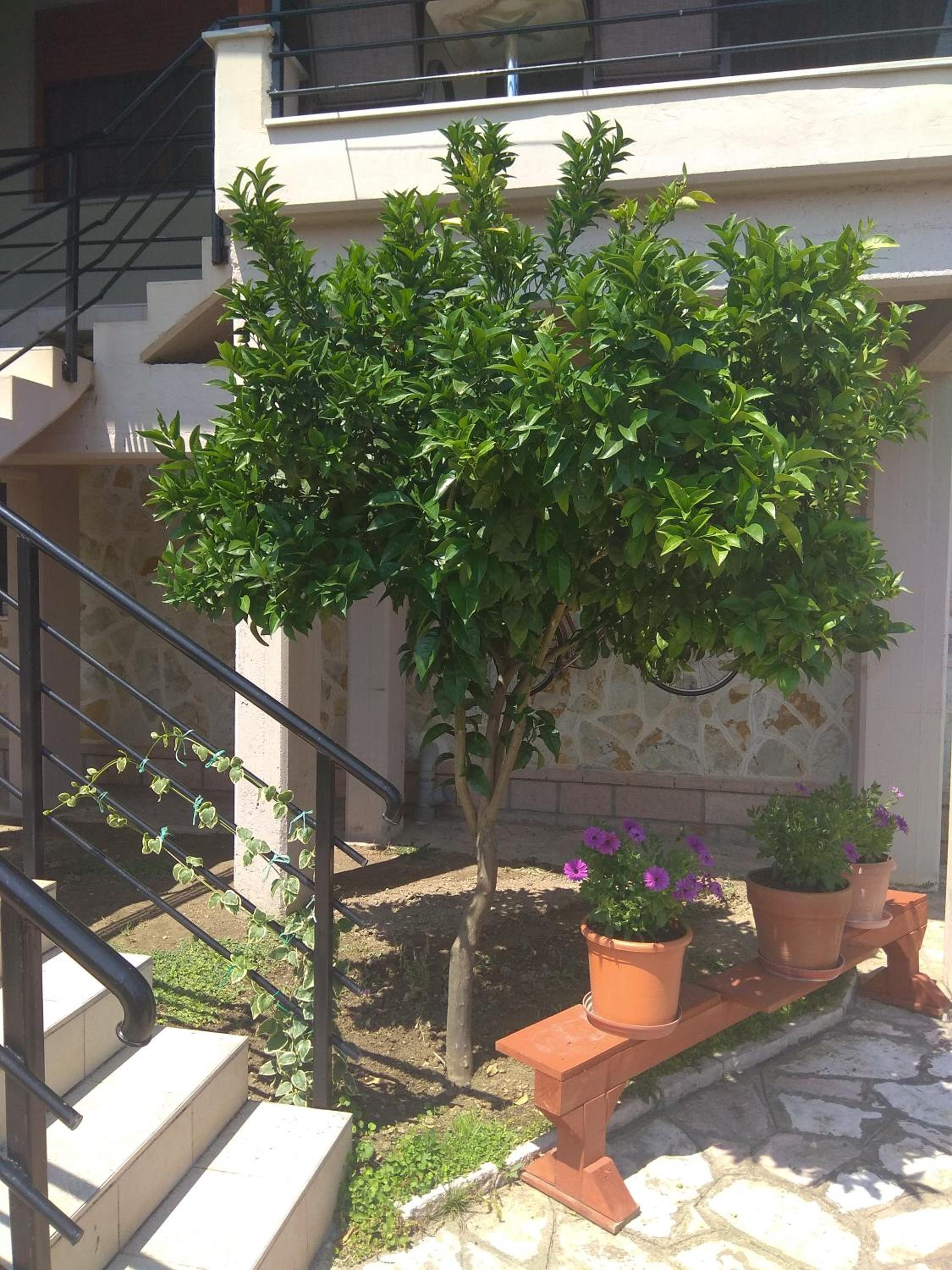 Apartment with Garden View - Photo 14