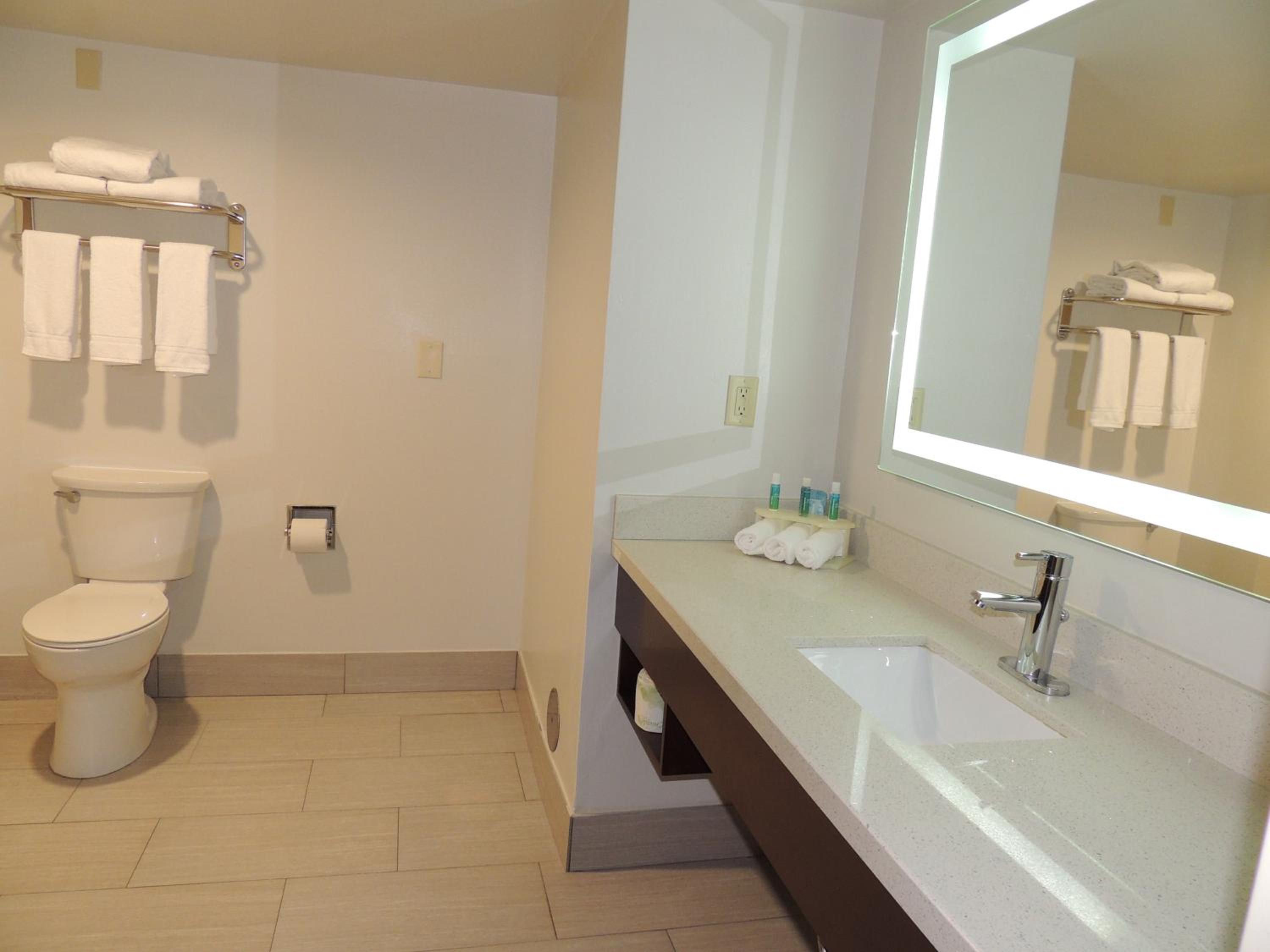 One-Bedroom King Suite - Photo 5