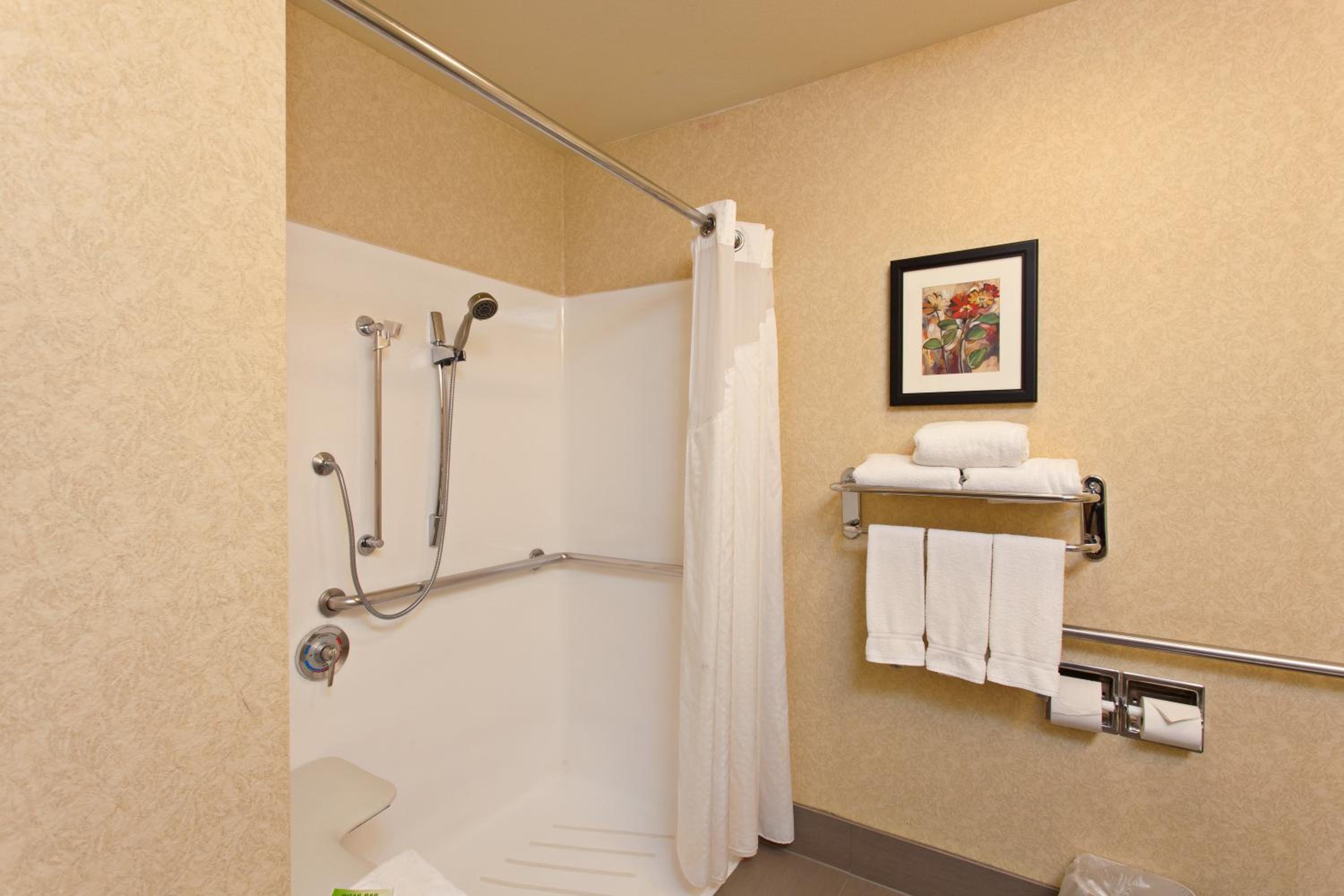 Standard King Room with Mobility Accessible Roll-In Shower - Photo 2