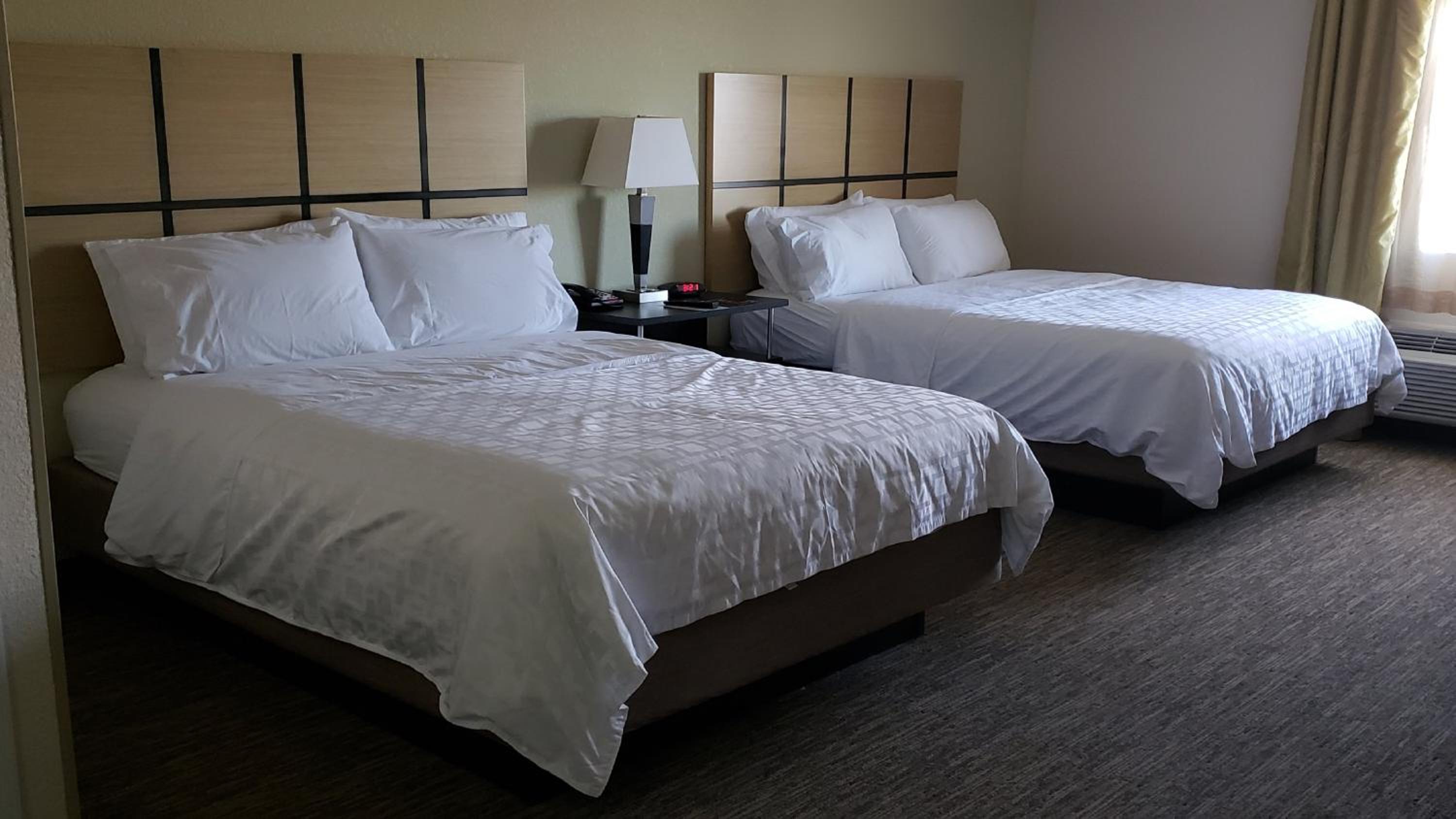 Studio Suite with Two Queen Beds photo 2