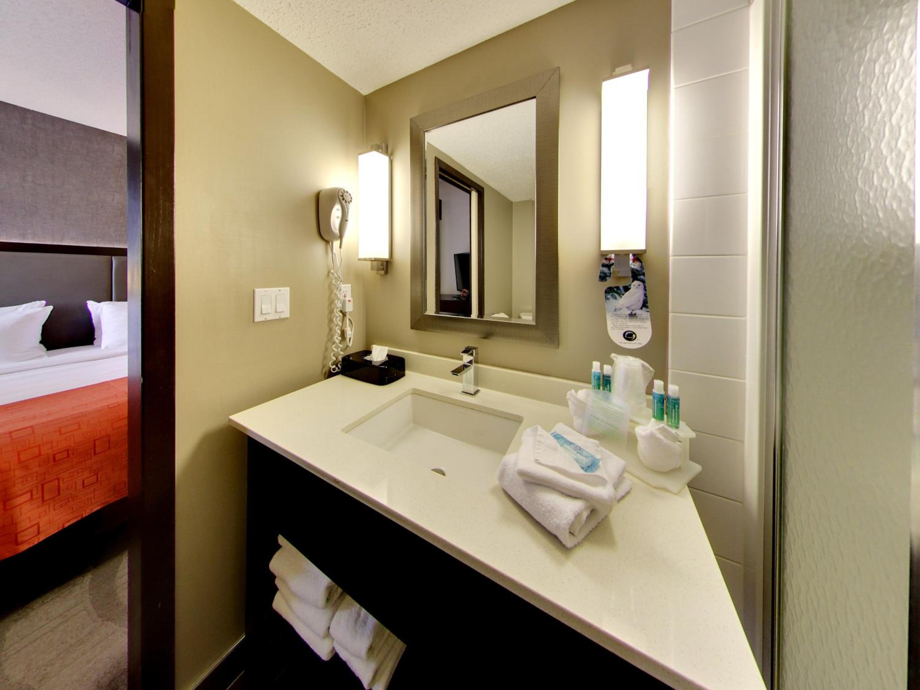 King Suite with Sofa Bed - Photo 4