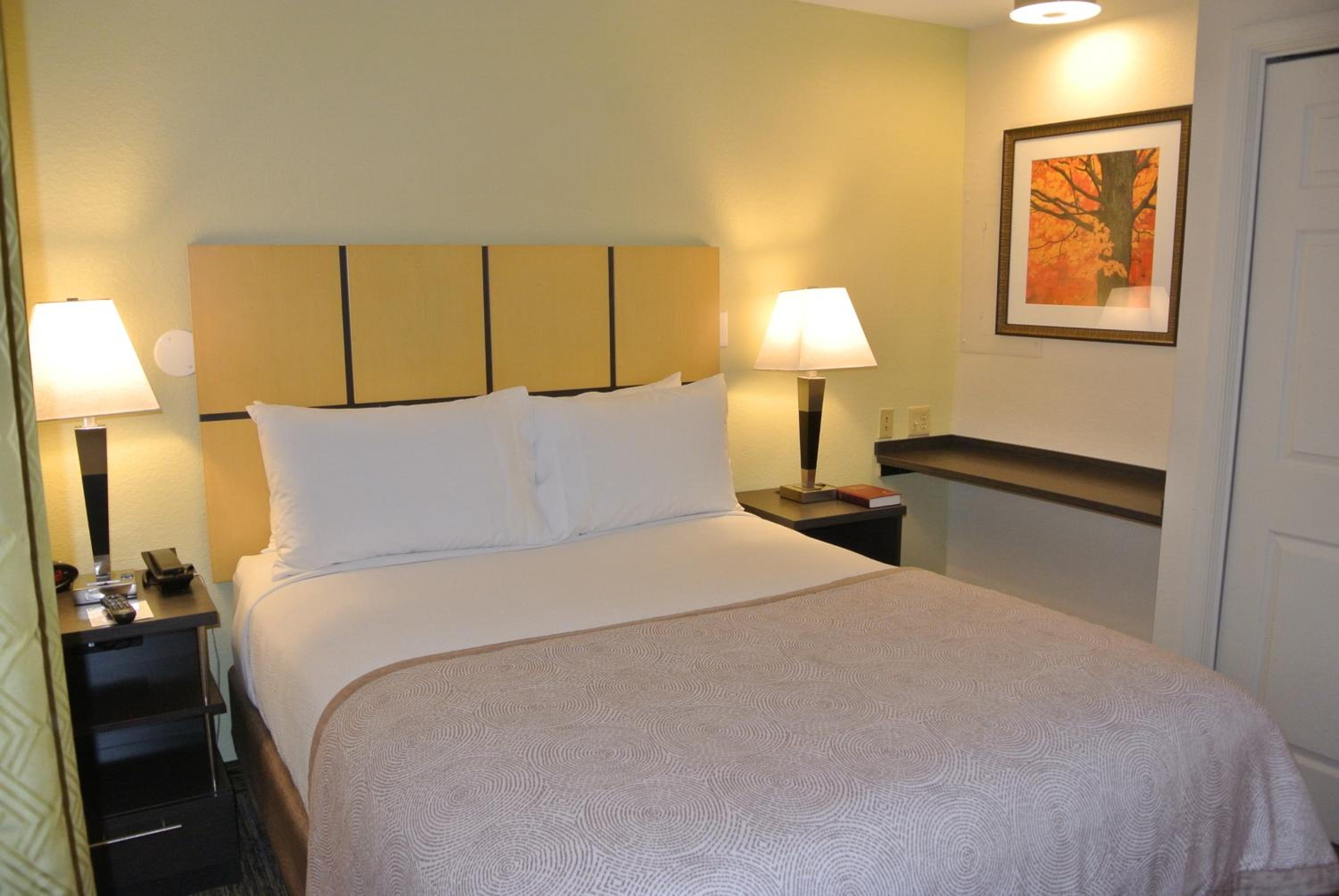 One-Bedroom Suite - Photo 1