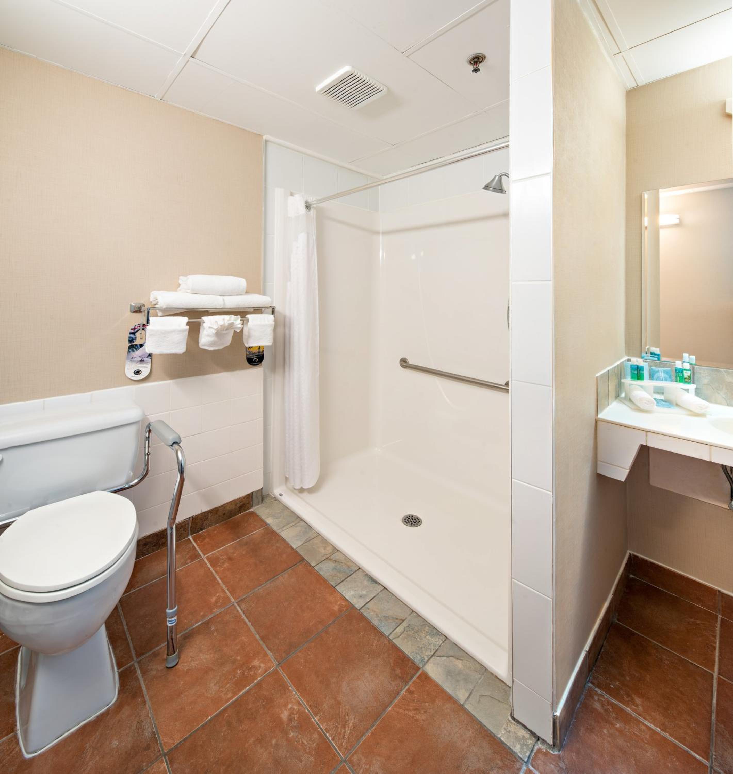 Standard King Room with Accessible Tub - Mobility Access - Photo 2