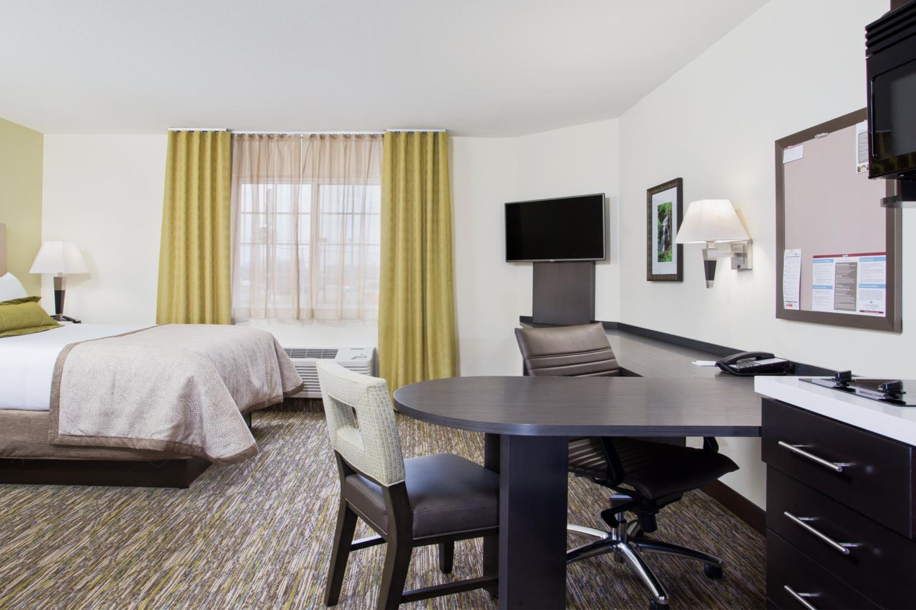 Queen Studio Suite with Roll In Shower - Mobility Accessible photo 1