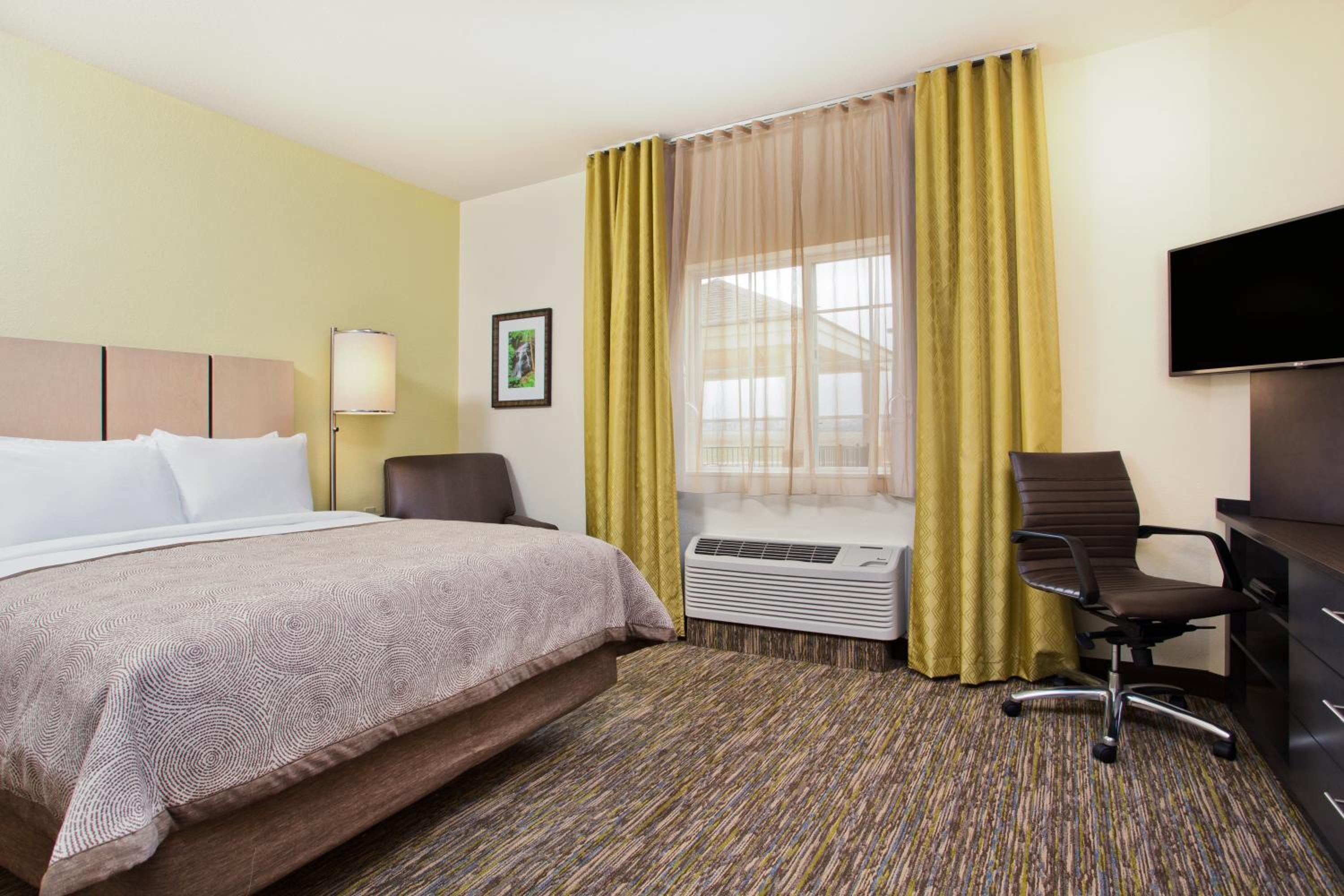 King Studio Suite photo 1