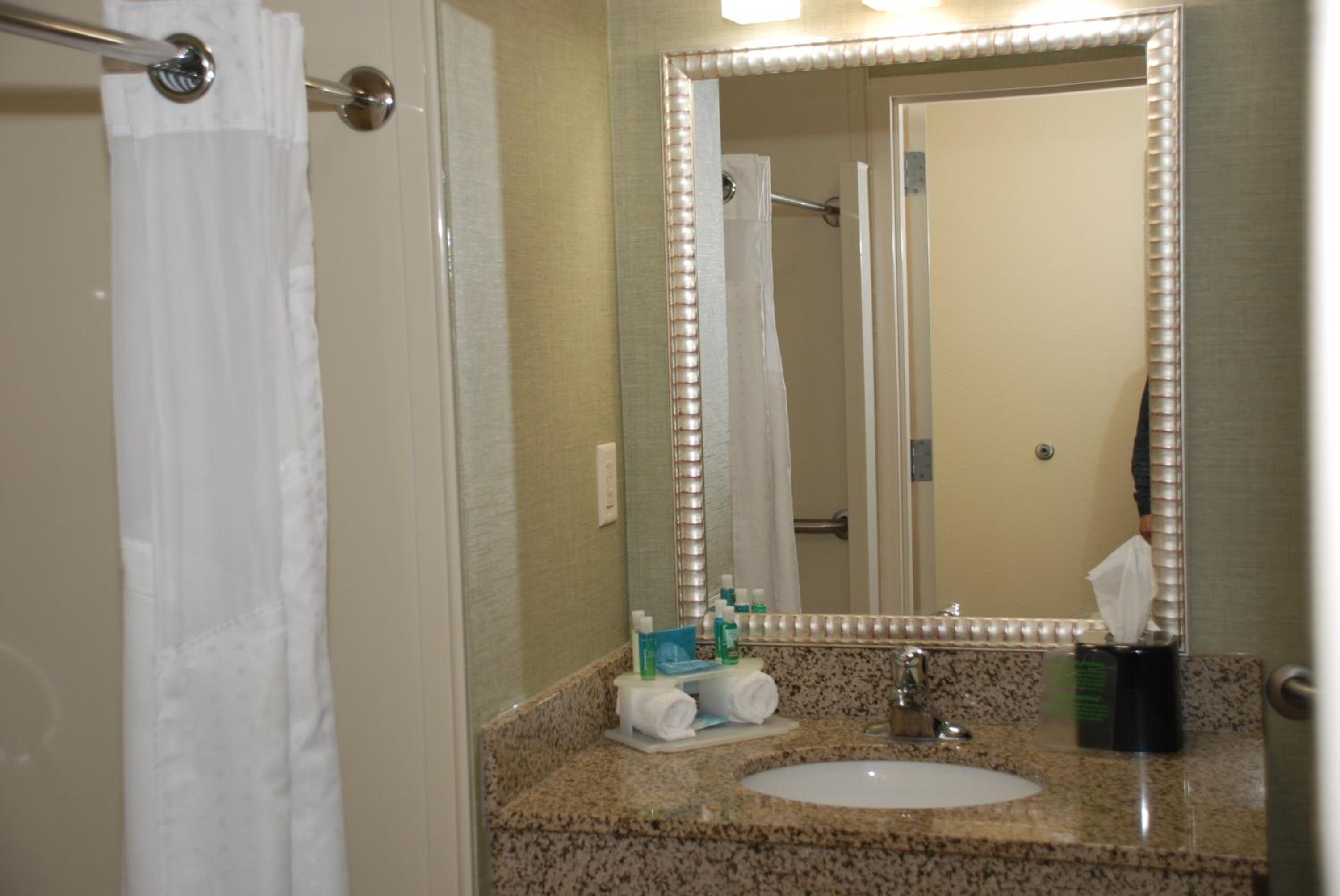 King Suite with Roll-in Shower - Mobility Access photo 2