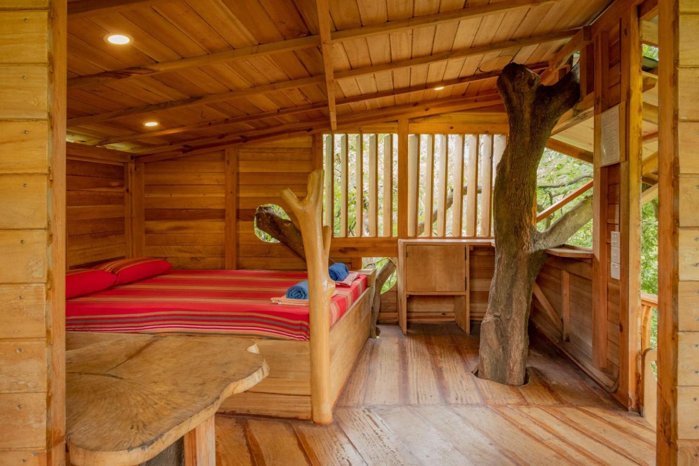 Deluxe Tree House with View  2 Adults + 1 Child) photo 1