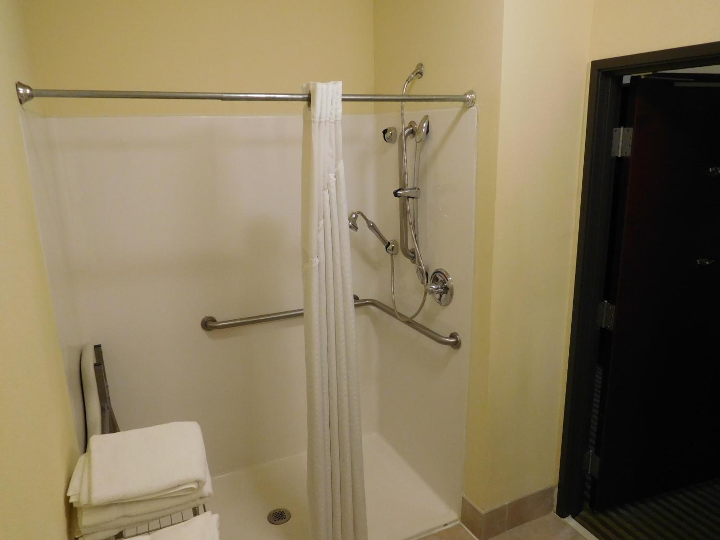 Standard King Room with Roll-in Shower - Mobility Accessible - Photo 2