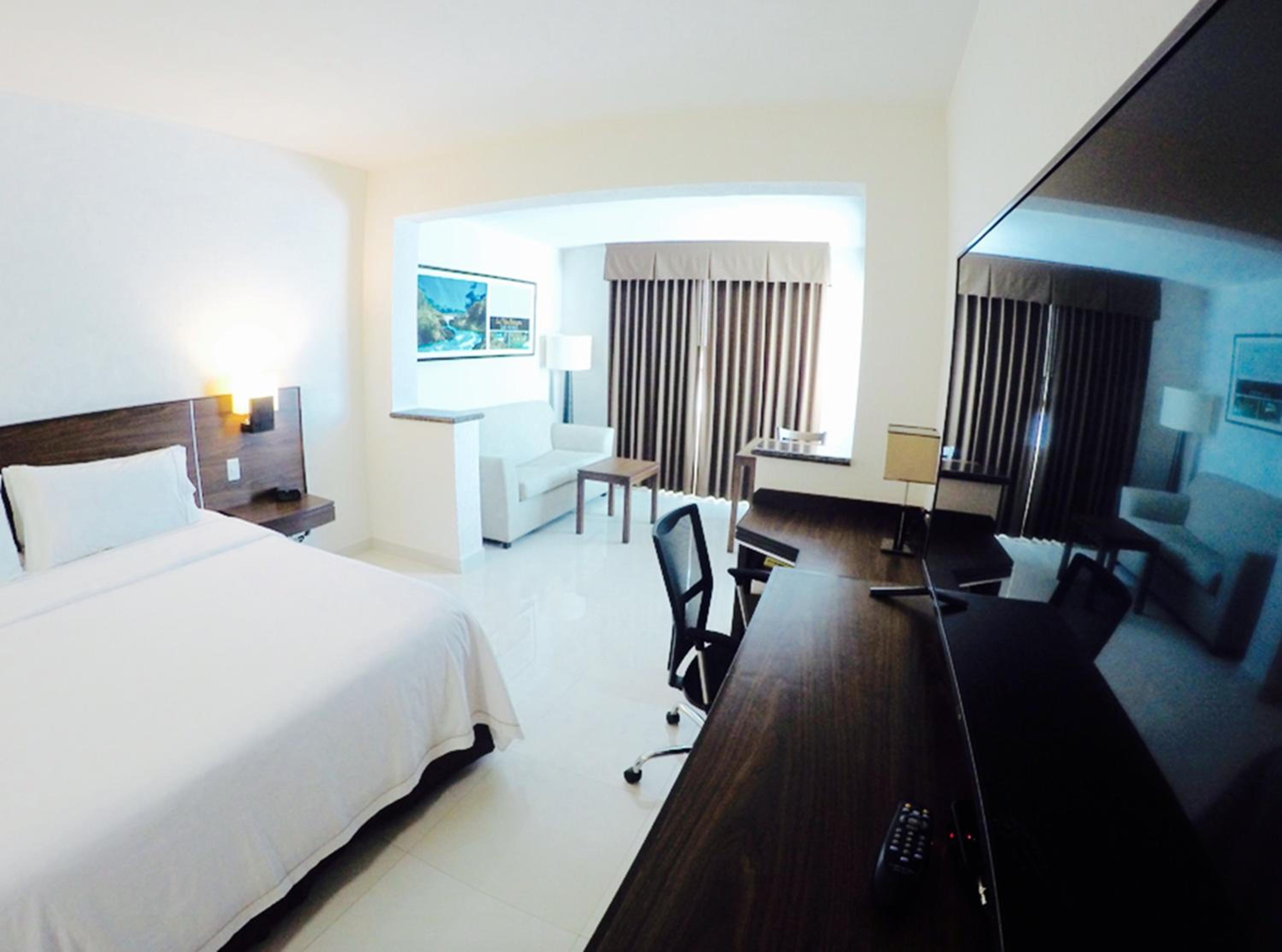 King Suite - Photo 7