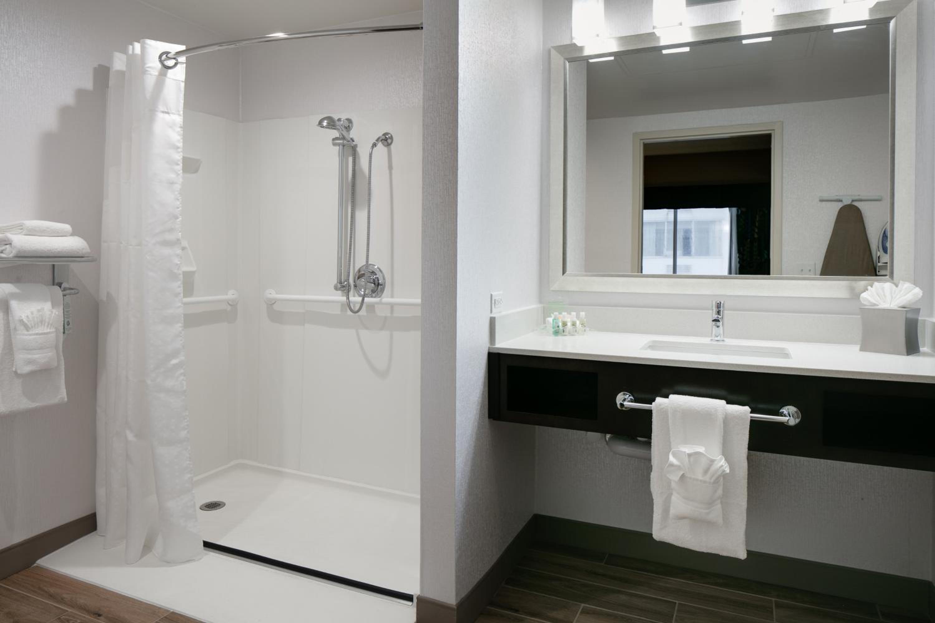 King Suite with Mobility Accessible Roll-In Shower - Photo 4