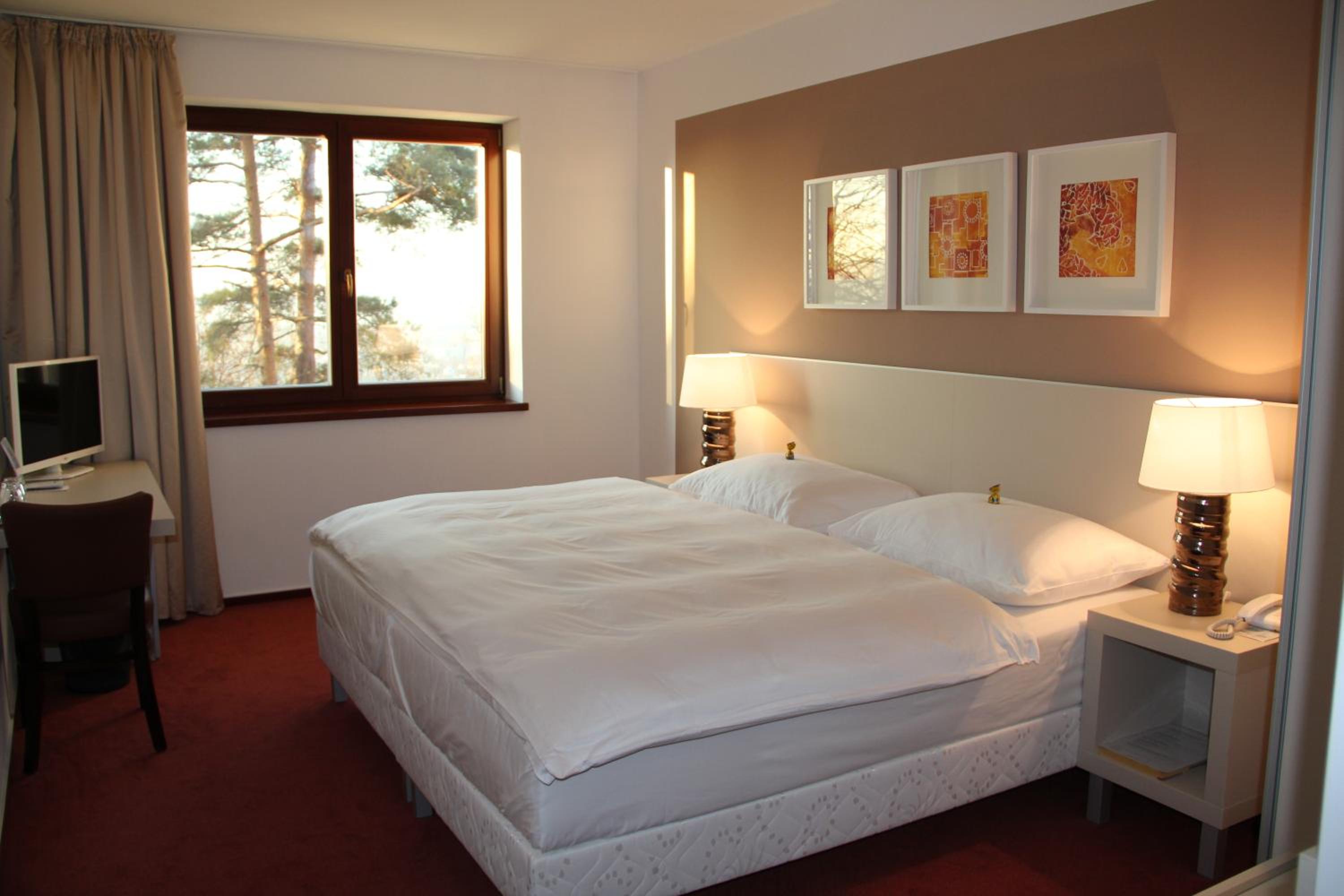 Deluxe Double or Twin Room photo 3