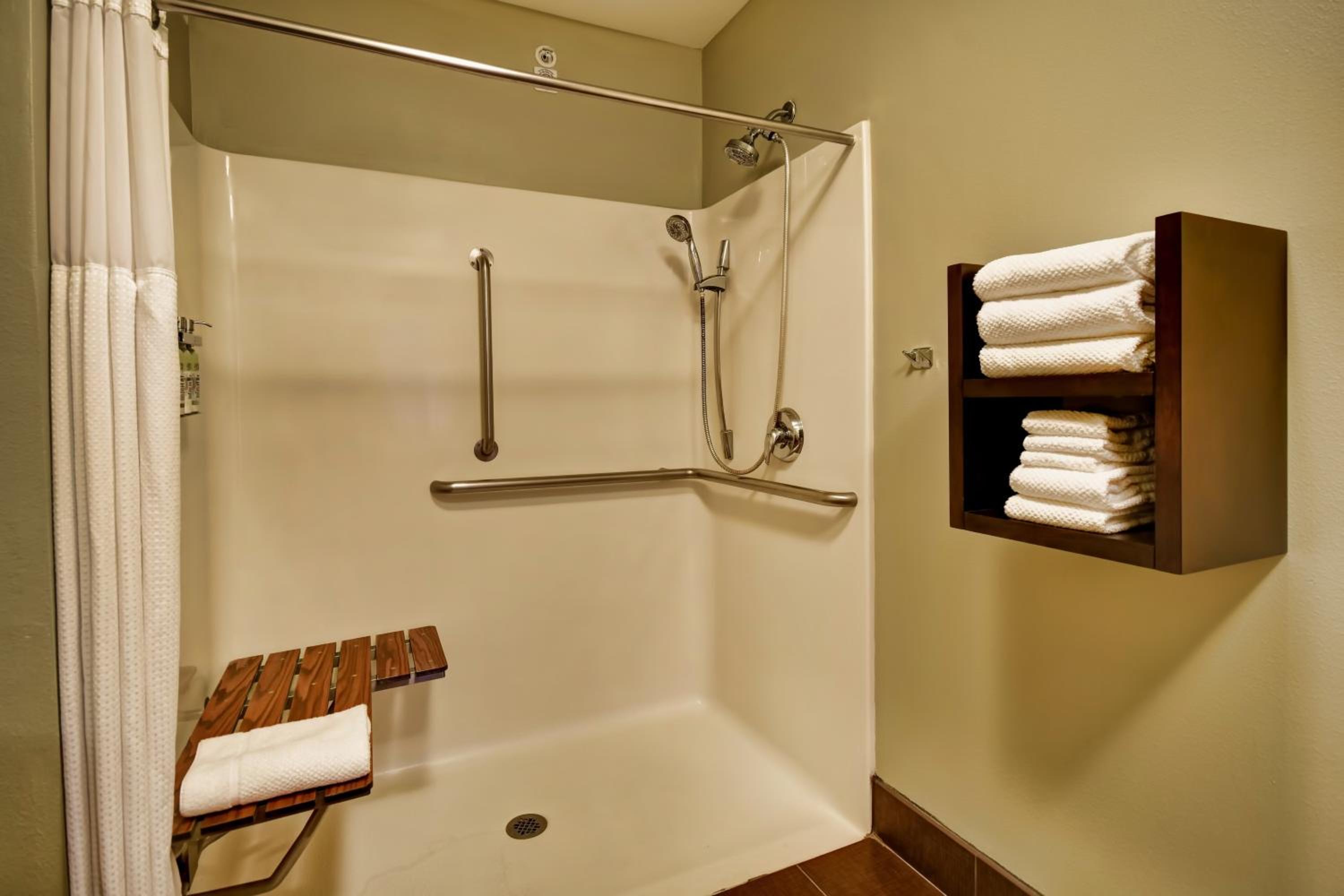 One-Bedroom Queen Suite - Mobility Accessible Roll-In Shower - Photo 4