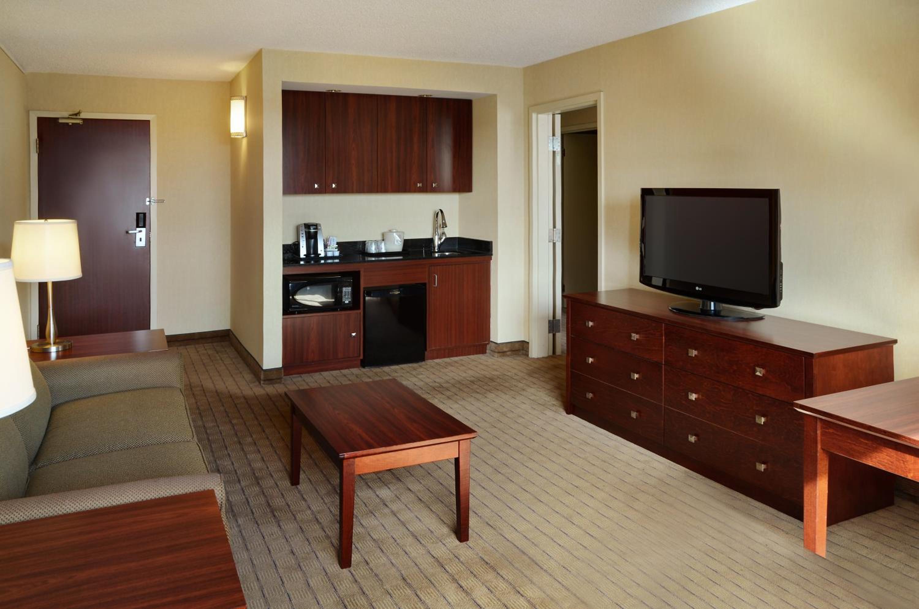 One-Bedroom Suite with Sofa Bed photo 1