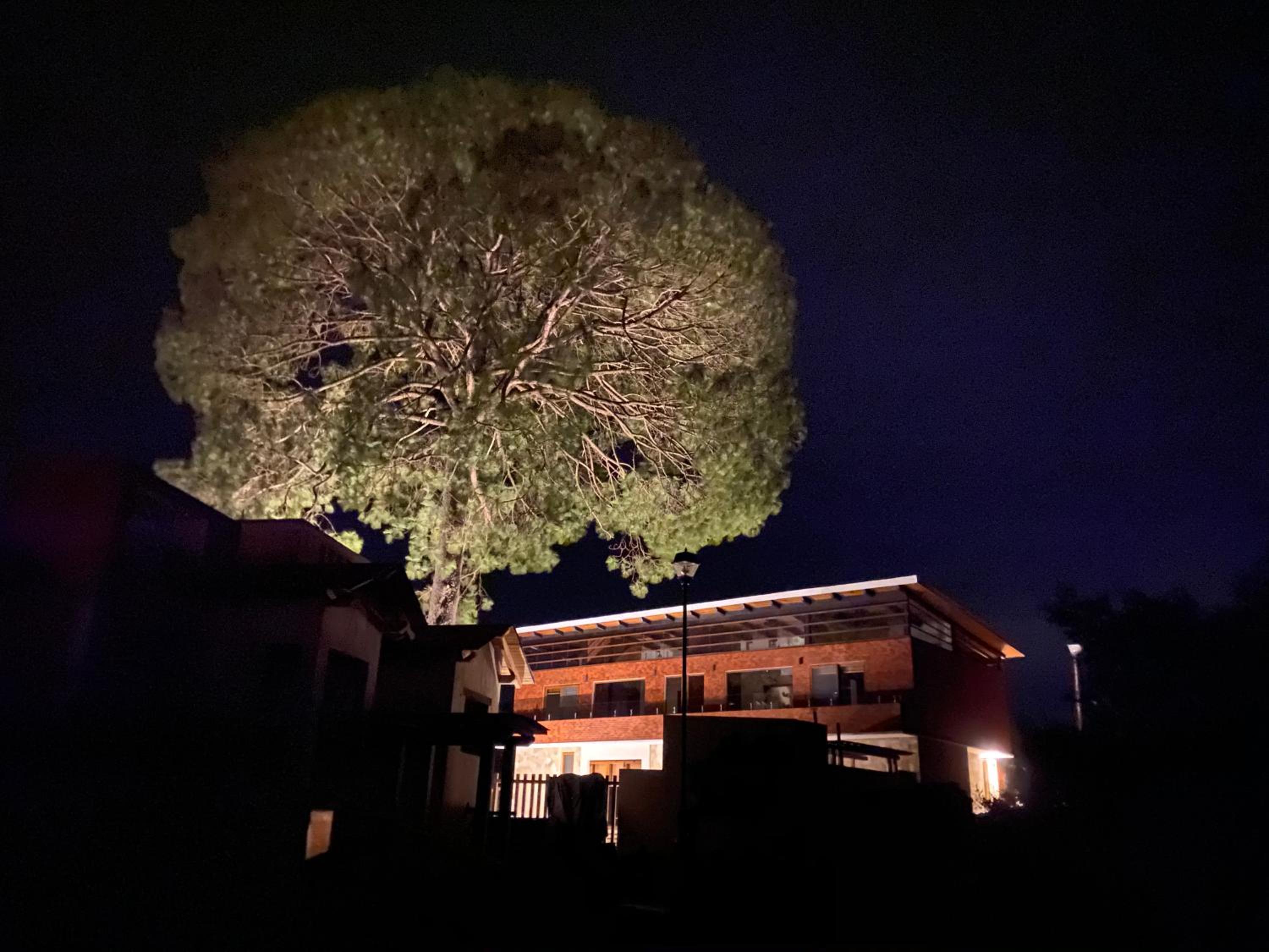 Villa with Garden View photo 2