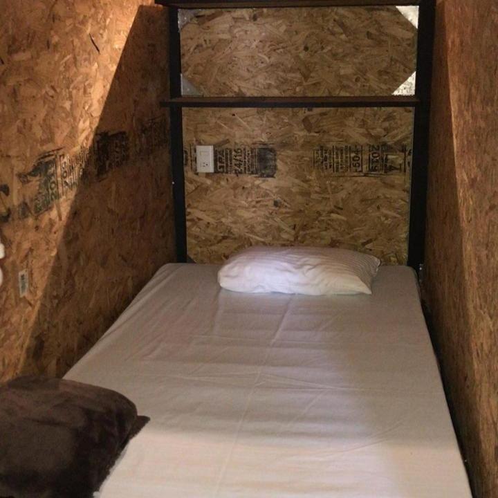 Bunk Bed In Mixed Dormitory Room photo 1
