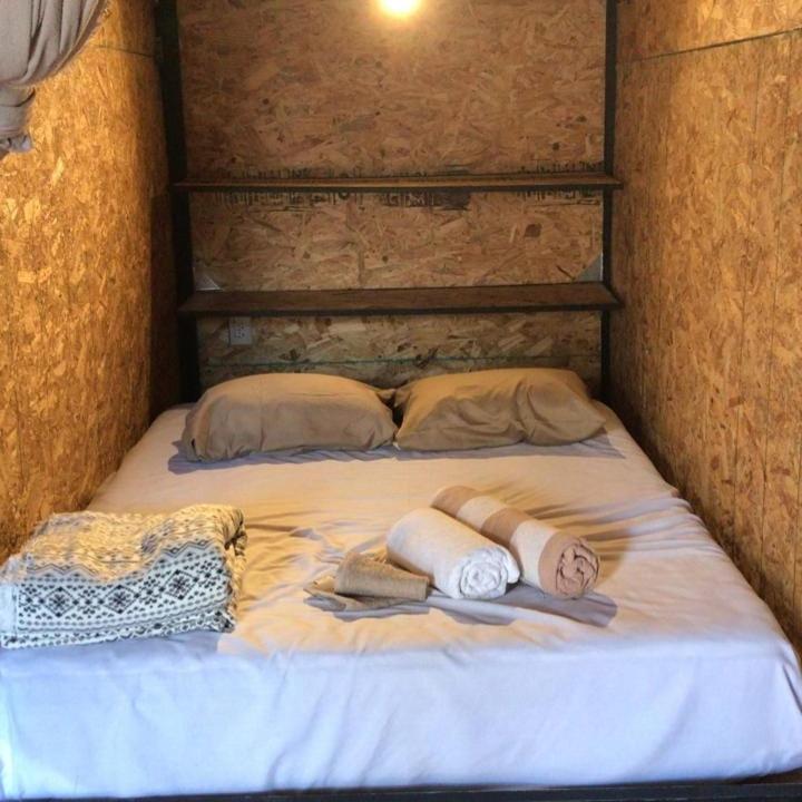Bunk Bed In Mixed Dormitory Room photo 1