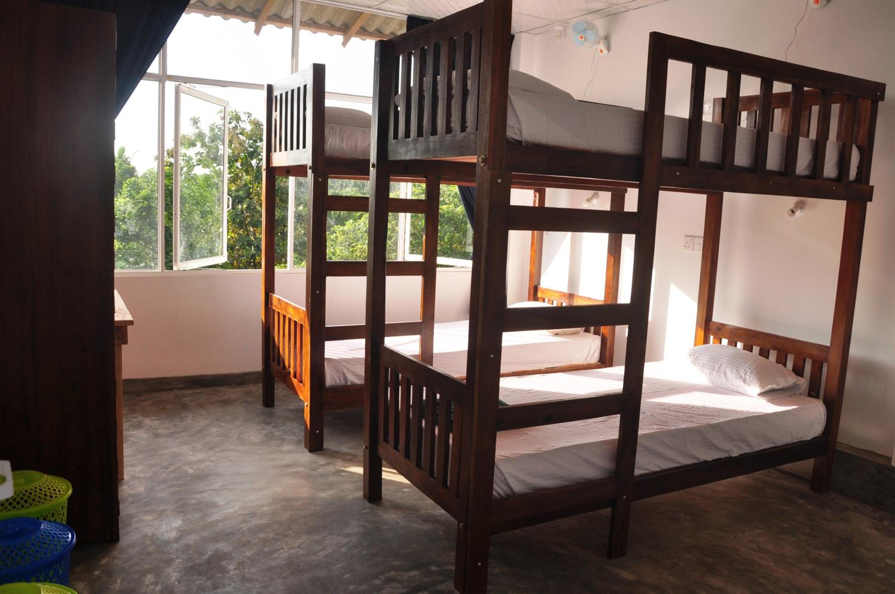 Bunk Bed in Mixed Dormitory Room photo 1