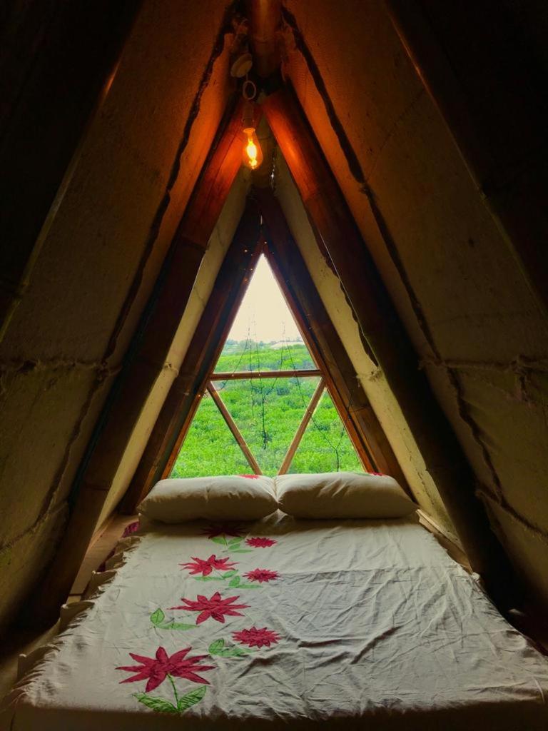 Triple Room with Mountain View photo 3