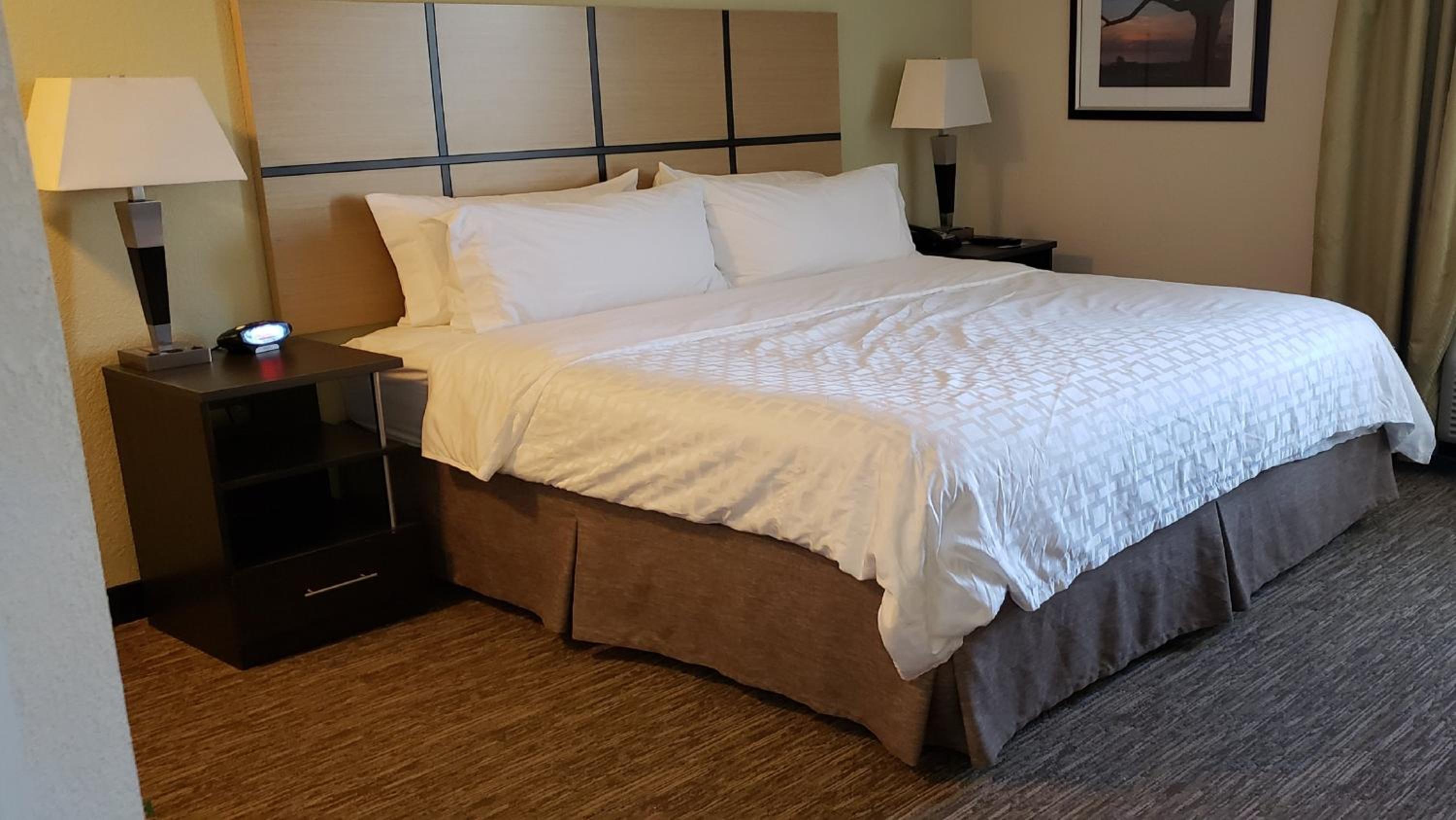 One-Bedroom King Suite with Transfer Shower - Mobility and Hearing Access photo 1