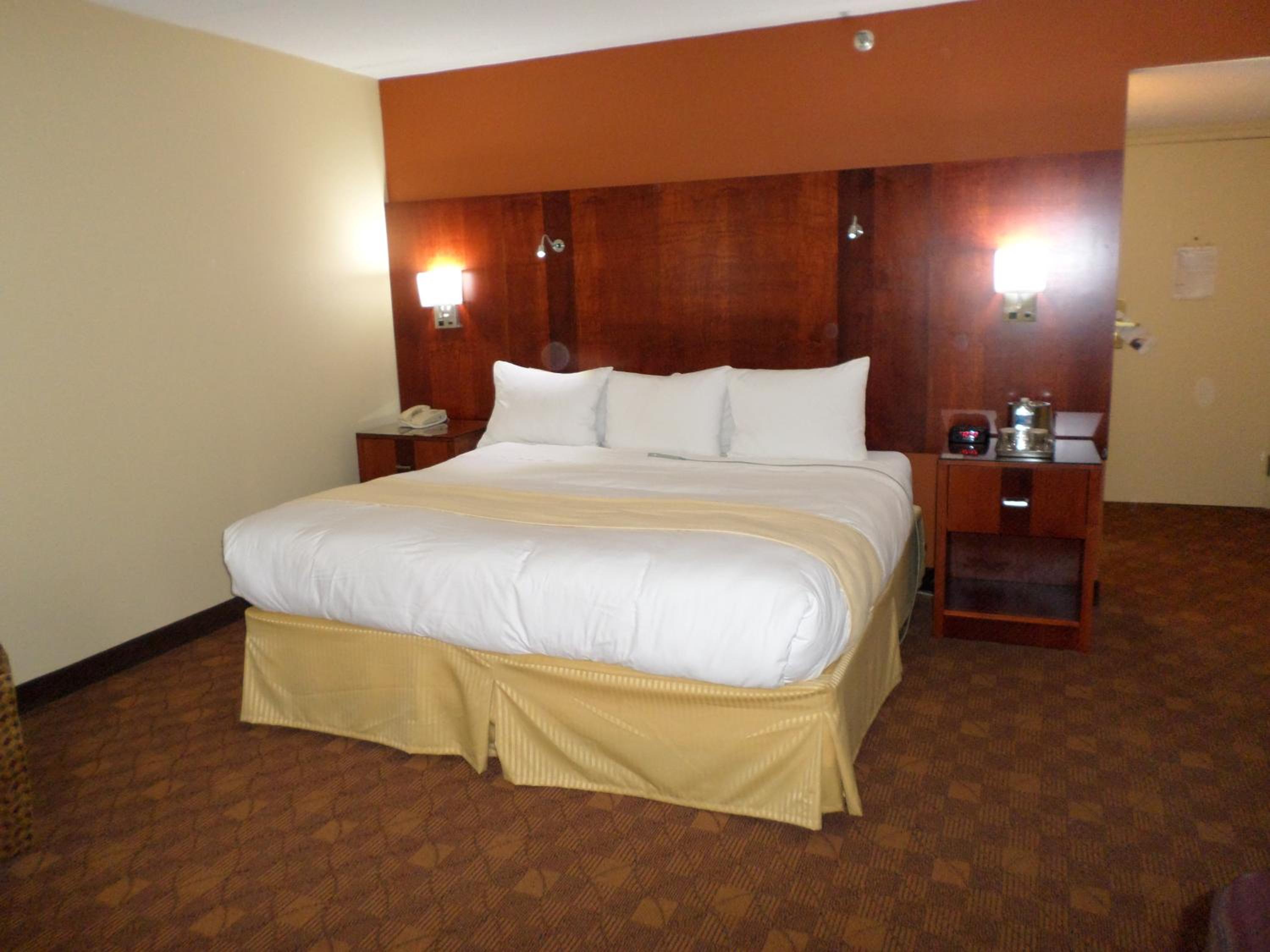 Premium King Room - Photo 6