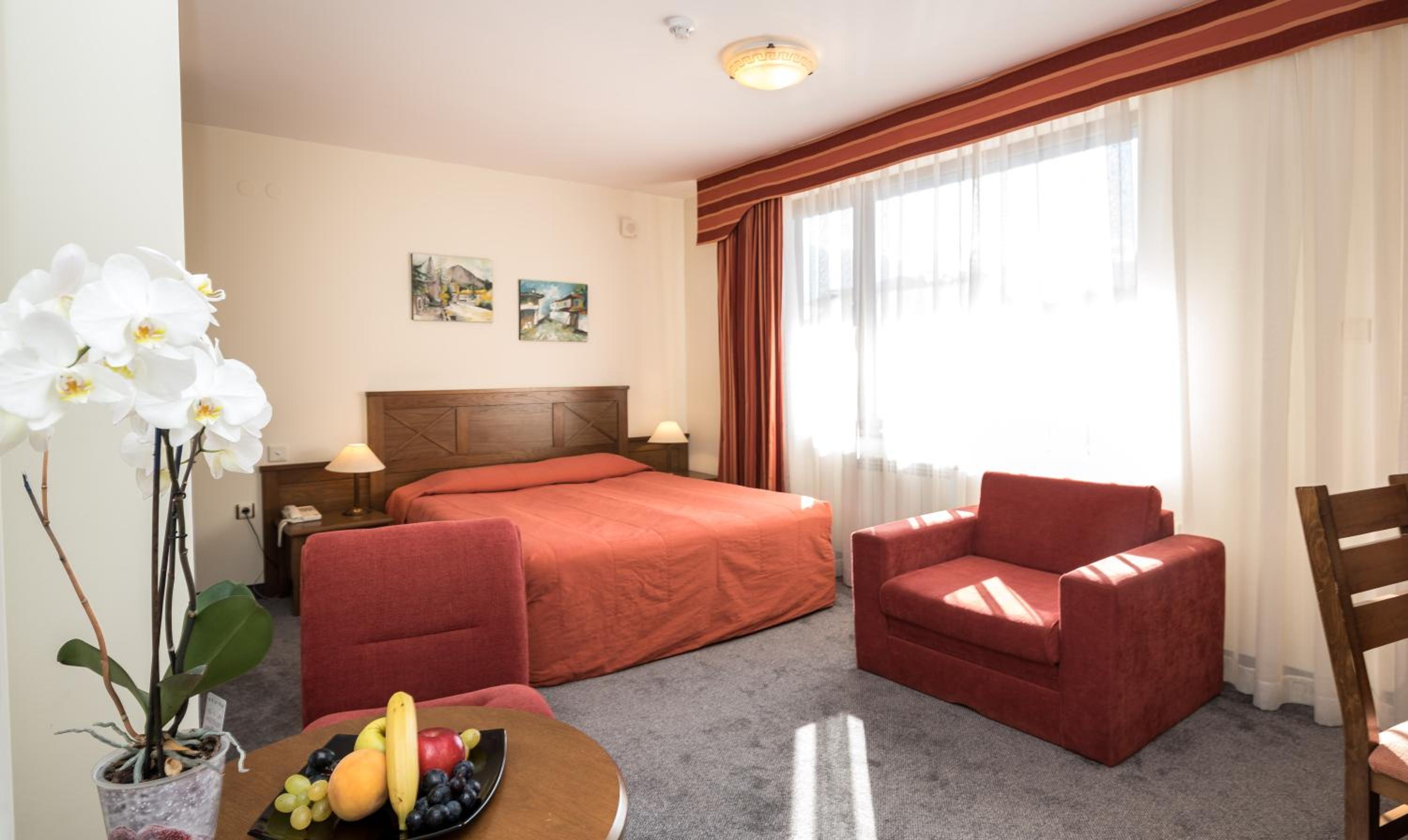 Double or Twin Room