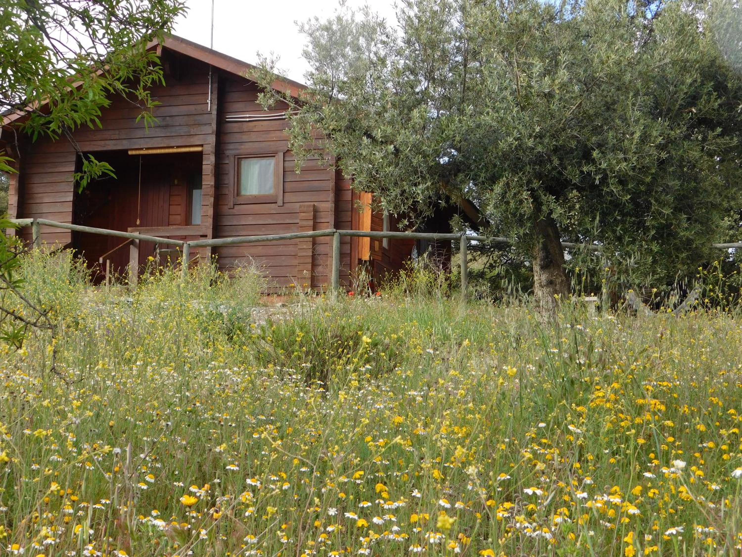 Two-Bedroom House - Photo 26