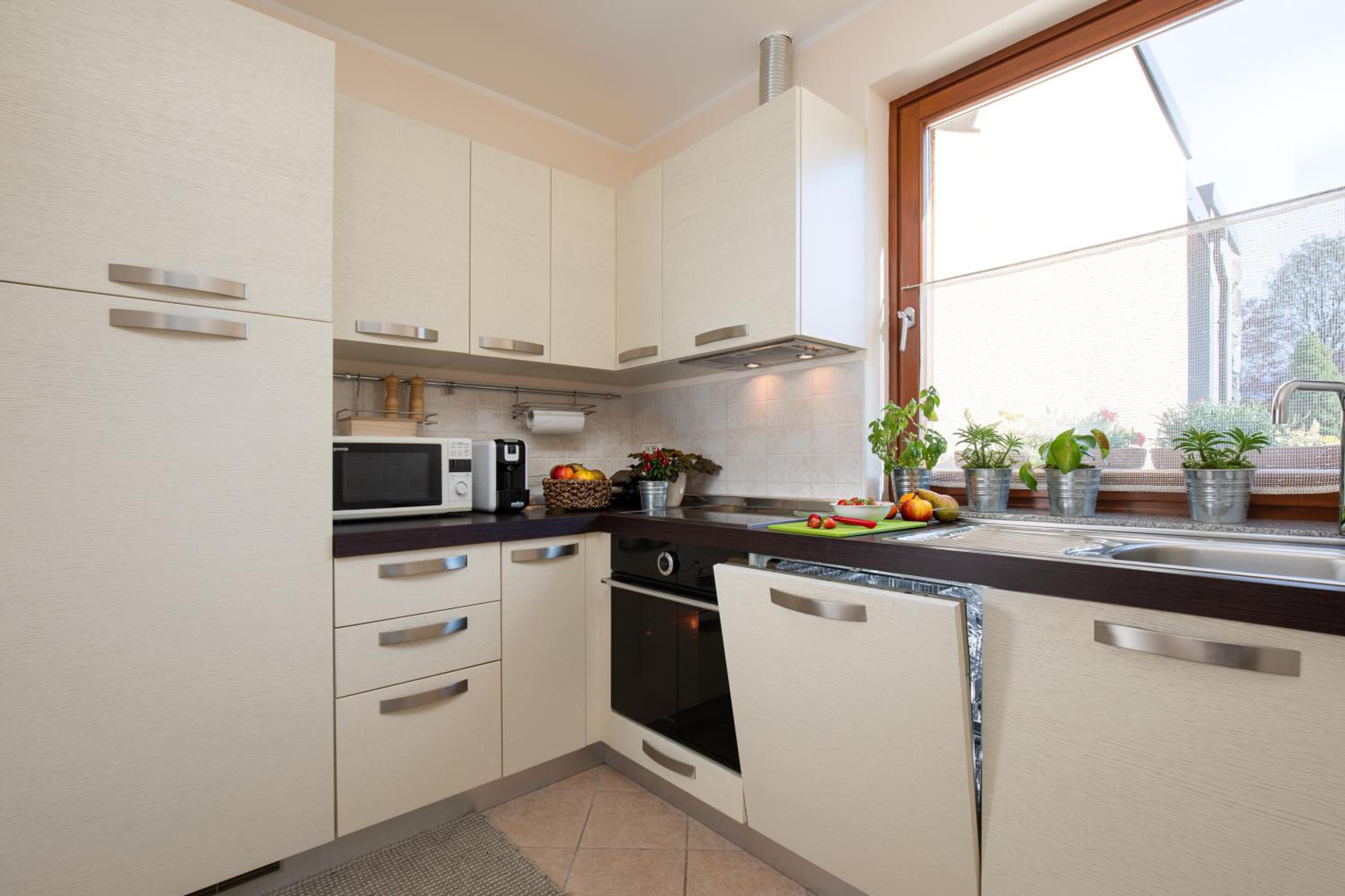 Superior One-Bedroom Family Apartment photo 3