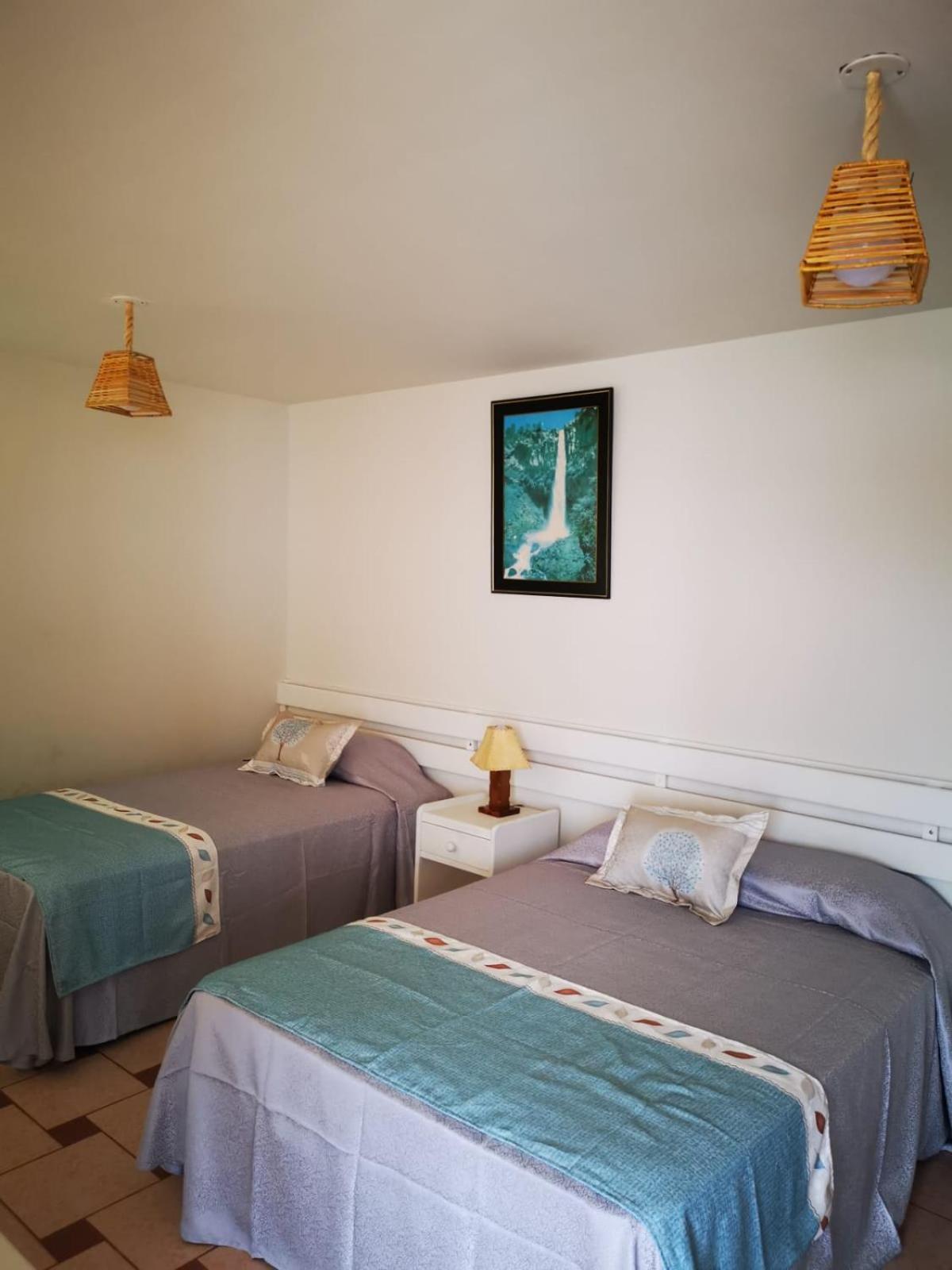 Twin Room photo 2