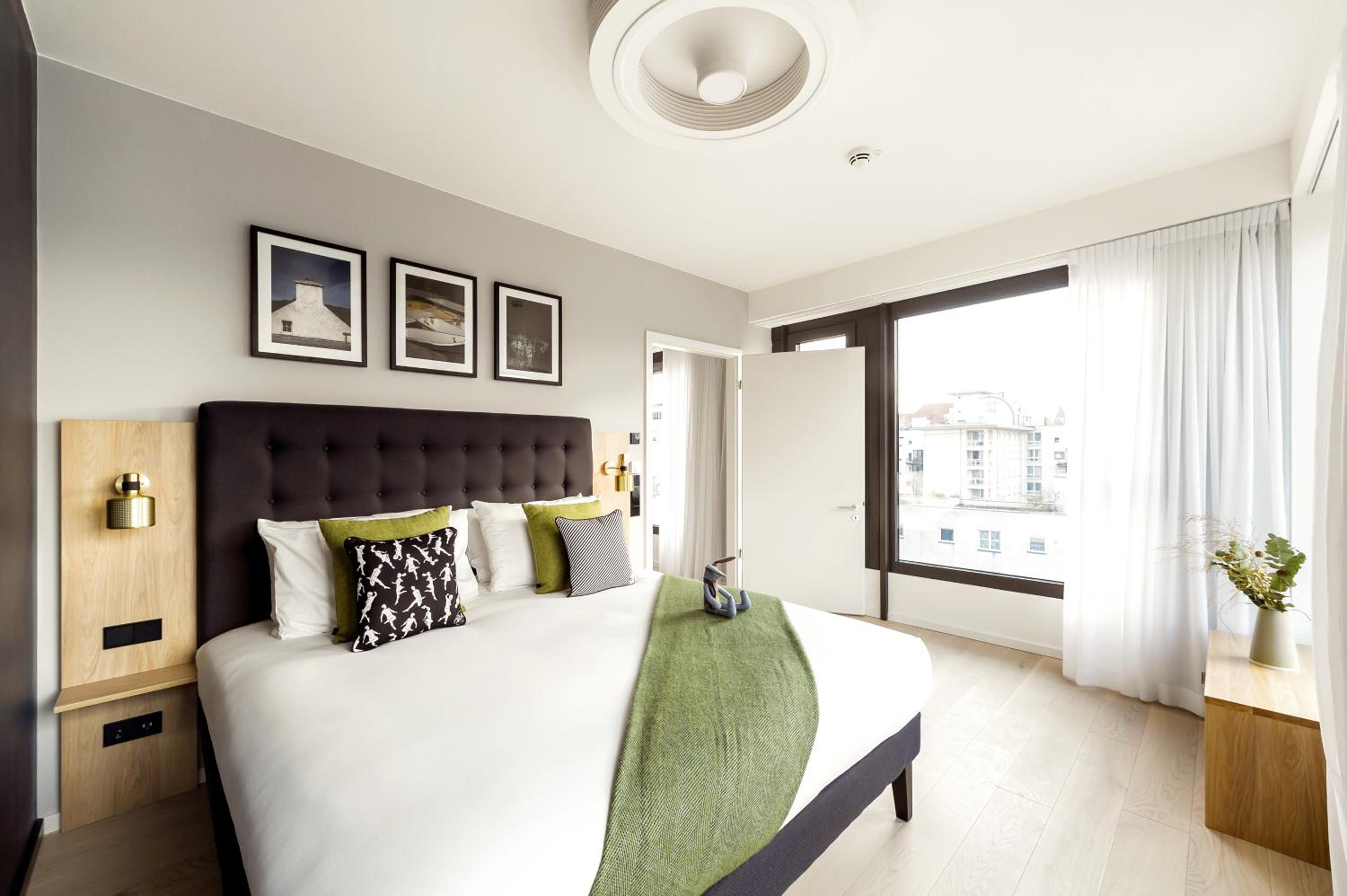 One Bedroom Accessible  photo 3