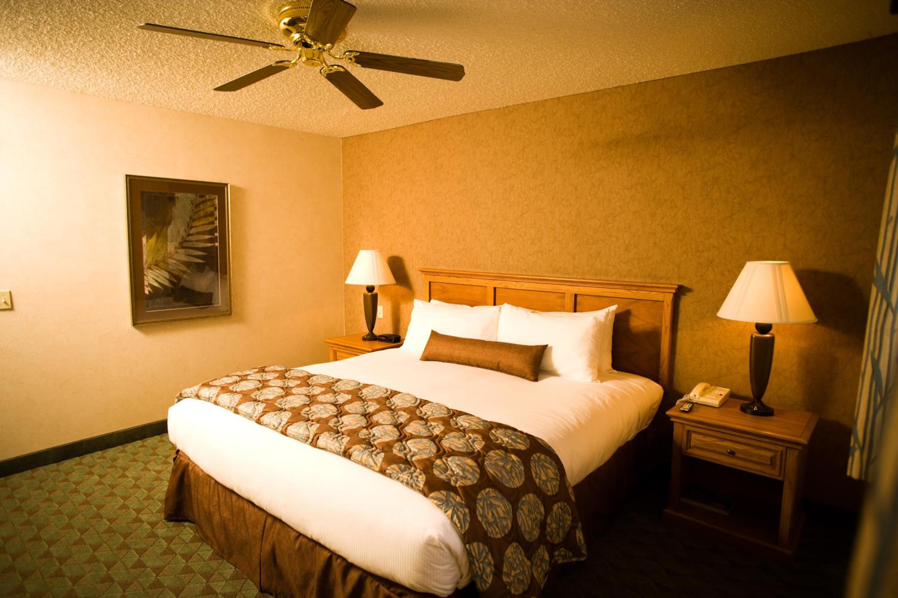 King Room with Sofa Bed photo 1