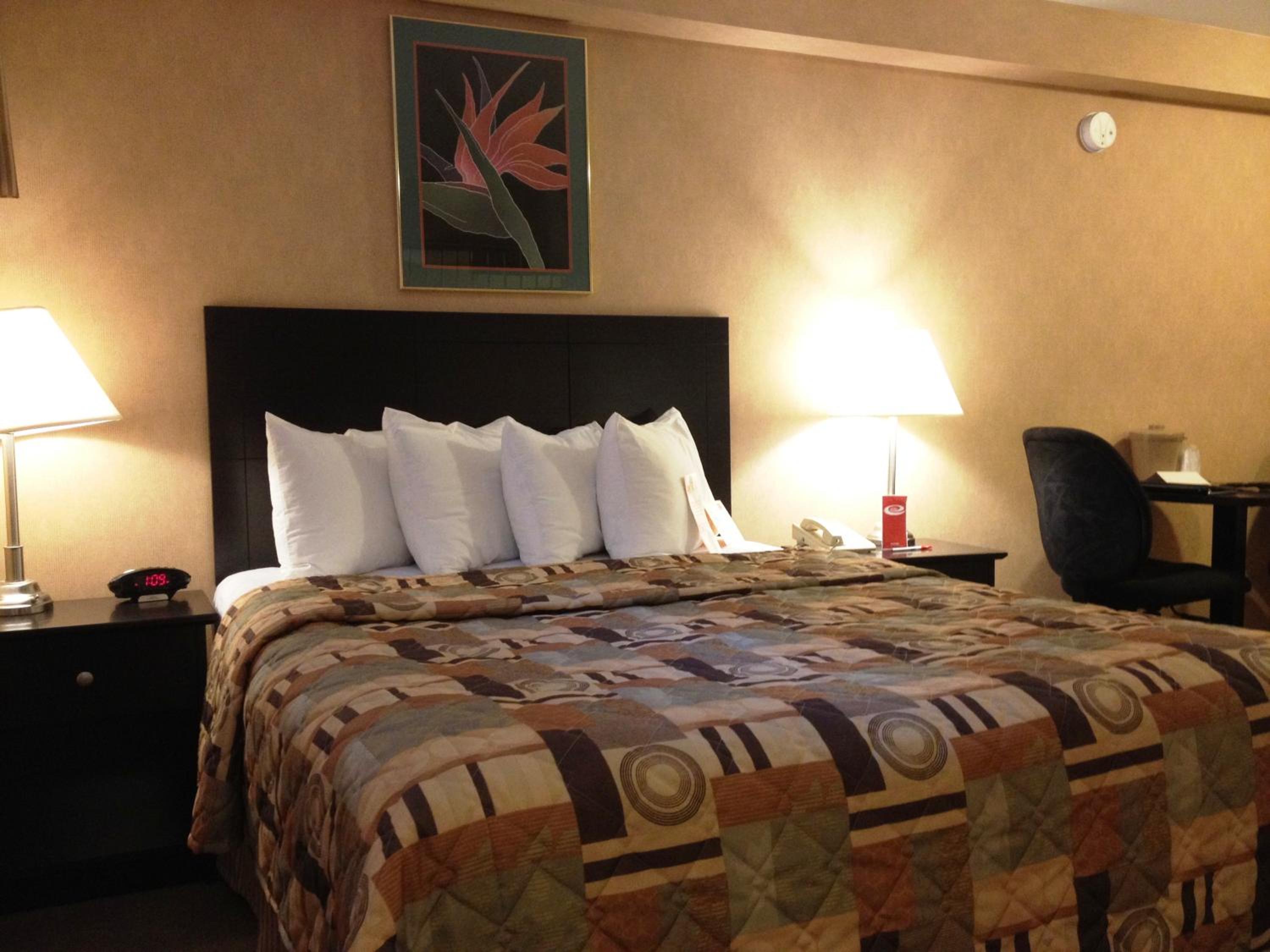Queen Room with Sofa Bed - Non-Smoking photo 1