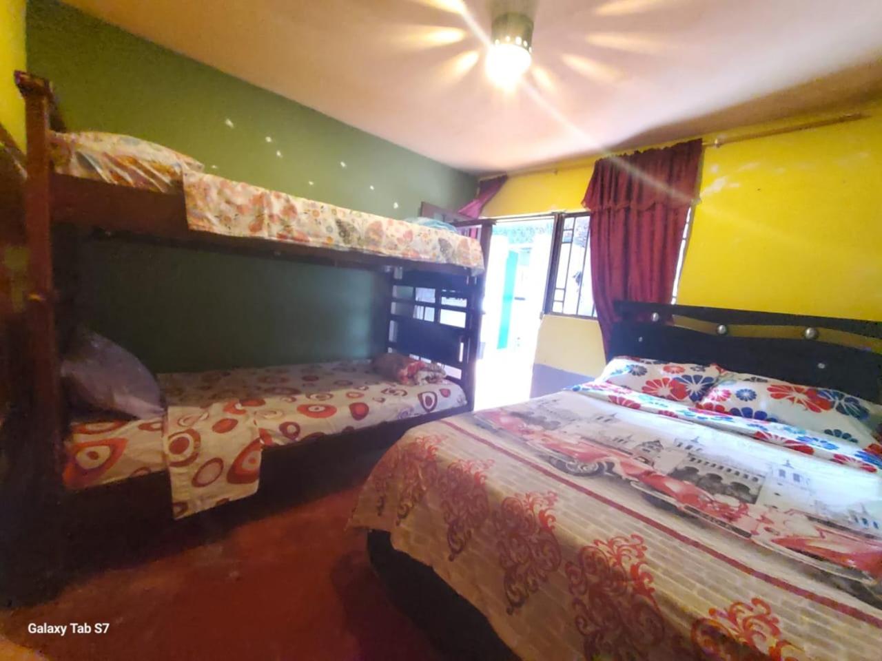 Bunk Bed in Mixed Dormitory Room