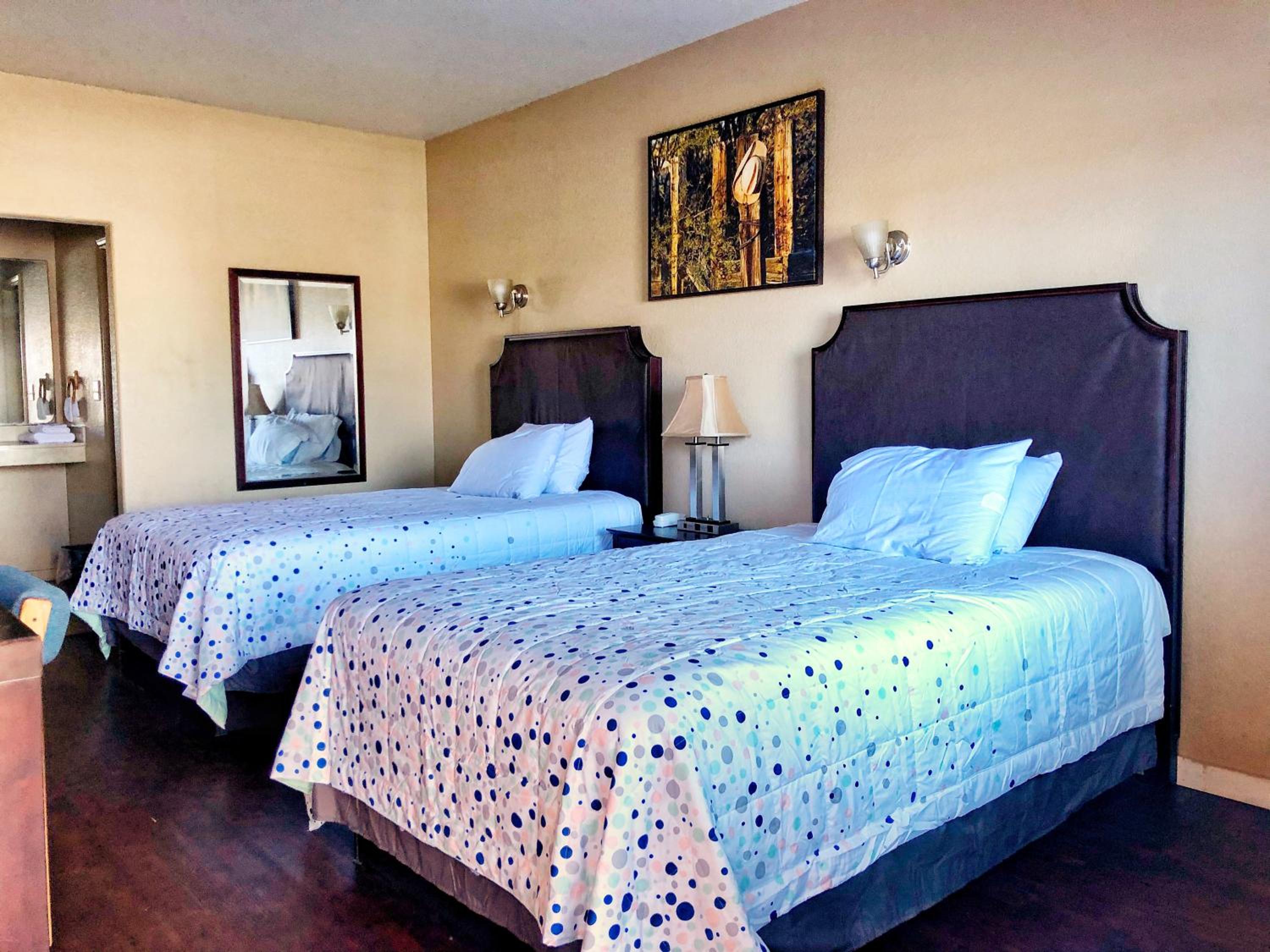 Deluxe Double or Twin Room photo 1