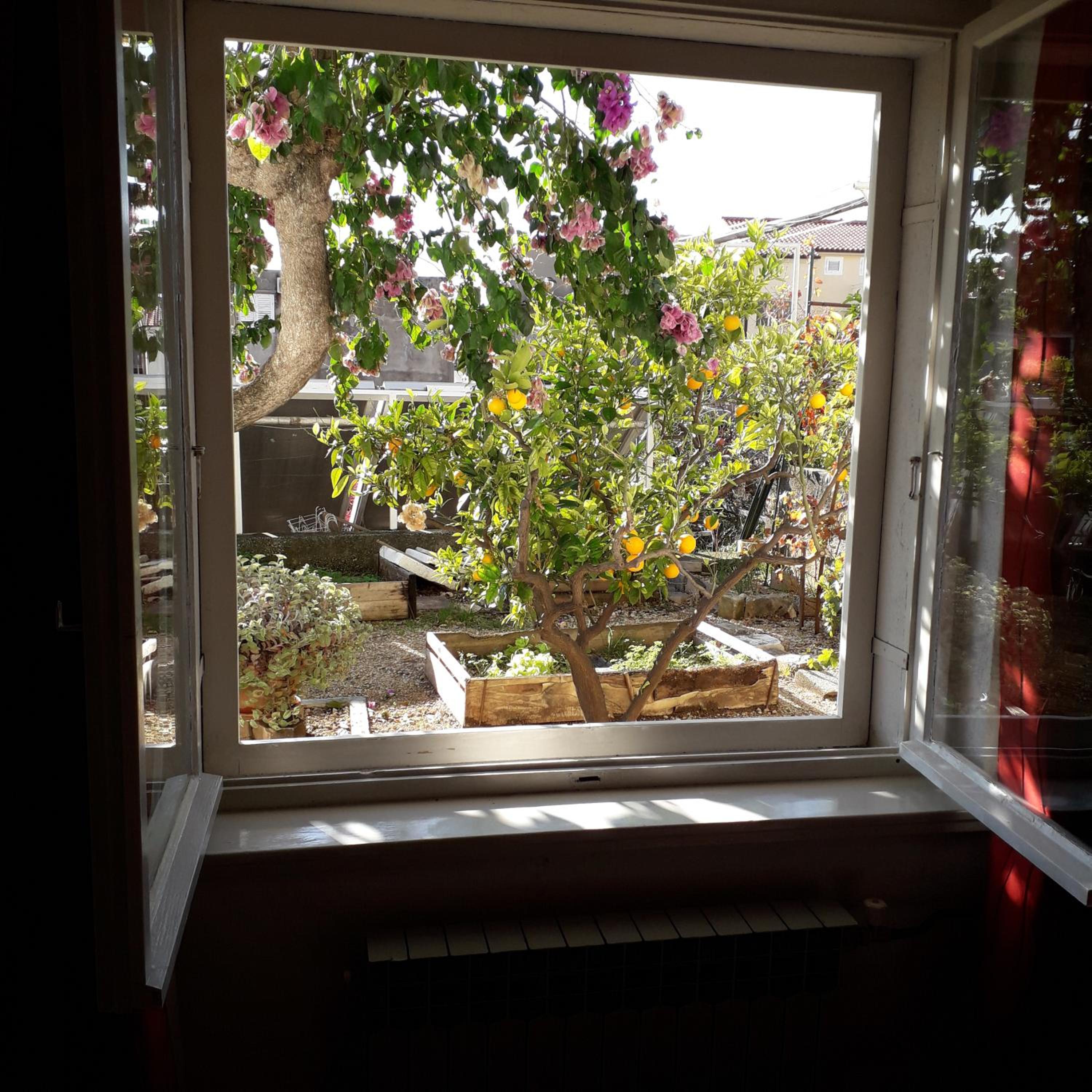 Apartment with Terrace - Photo 22