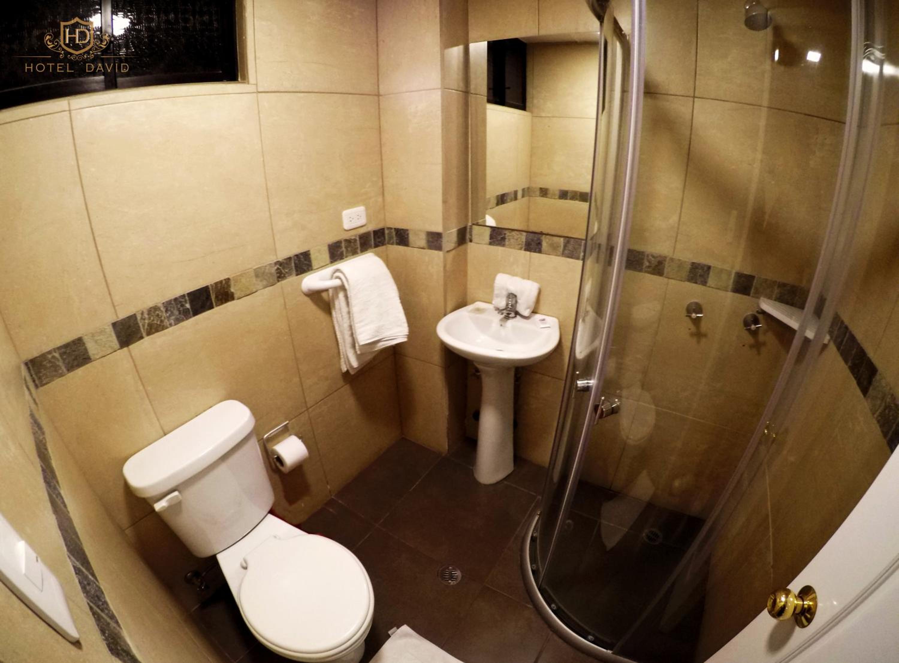 Hotel David — photo 70