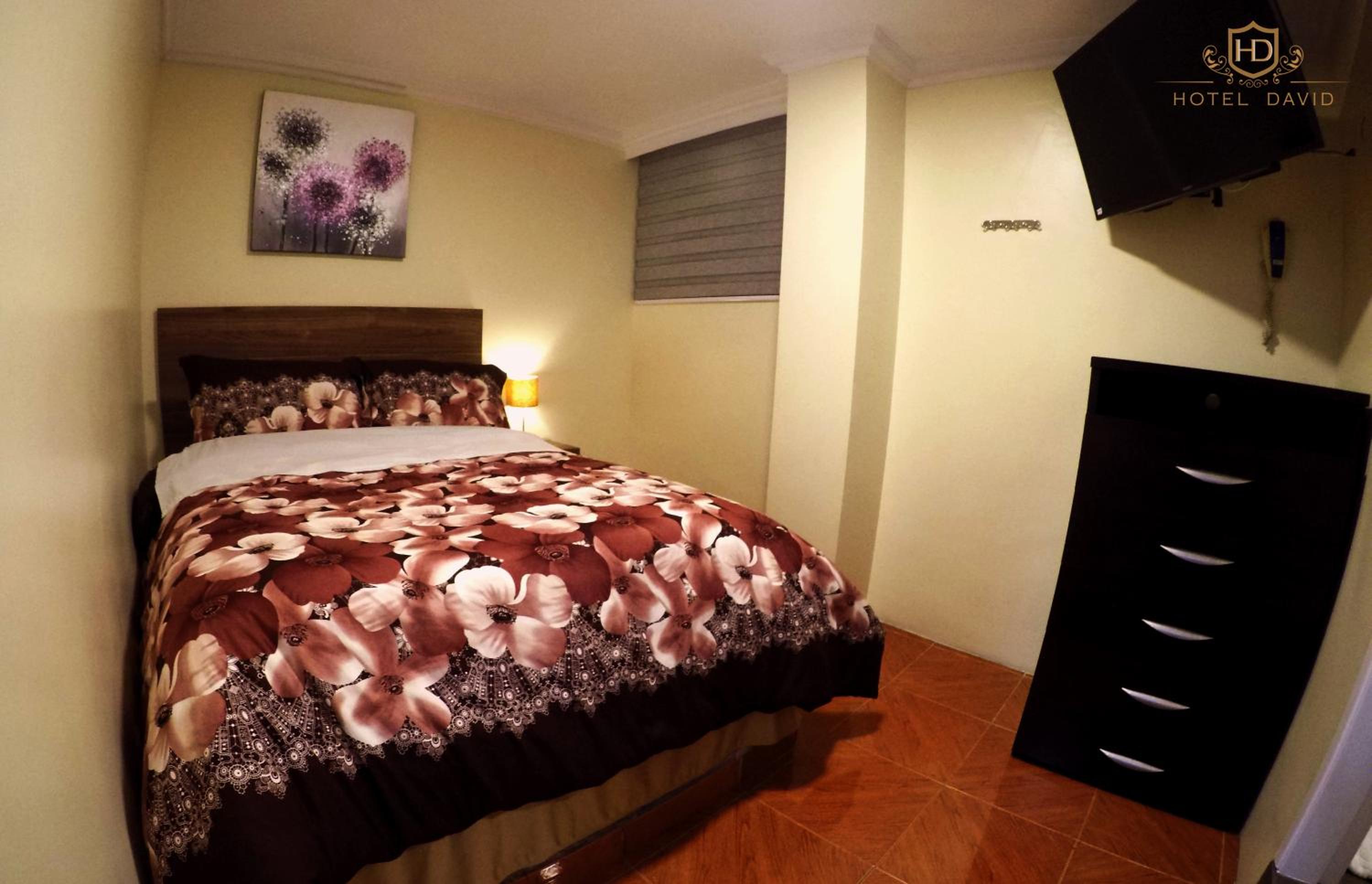 Hotel David — photo 74