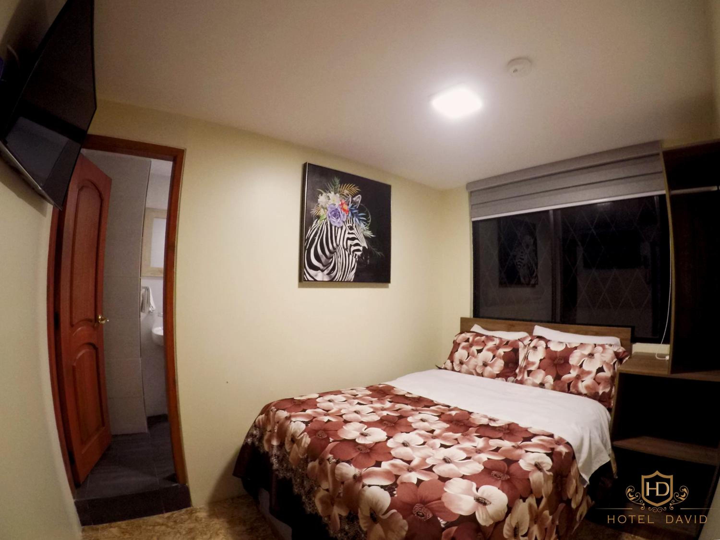 Hotel David — photo 71