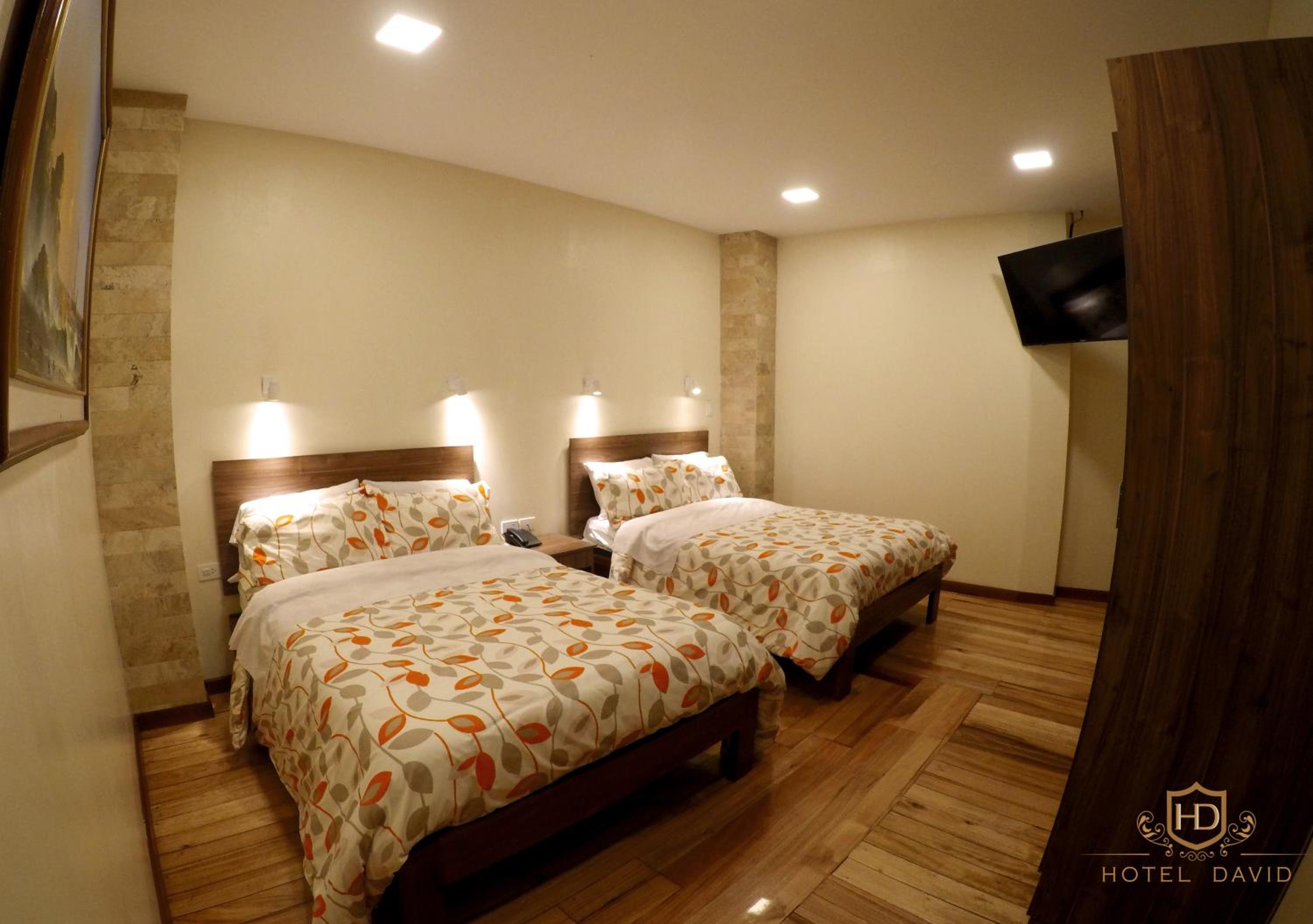 Hotel David — photo 103