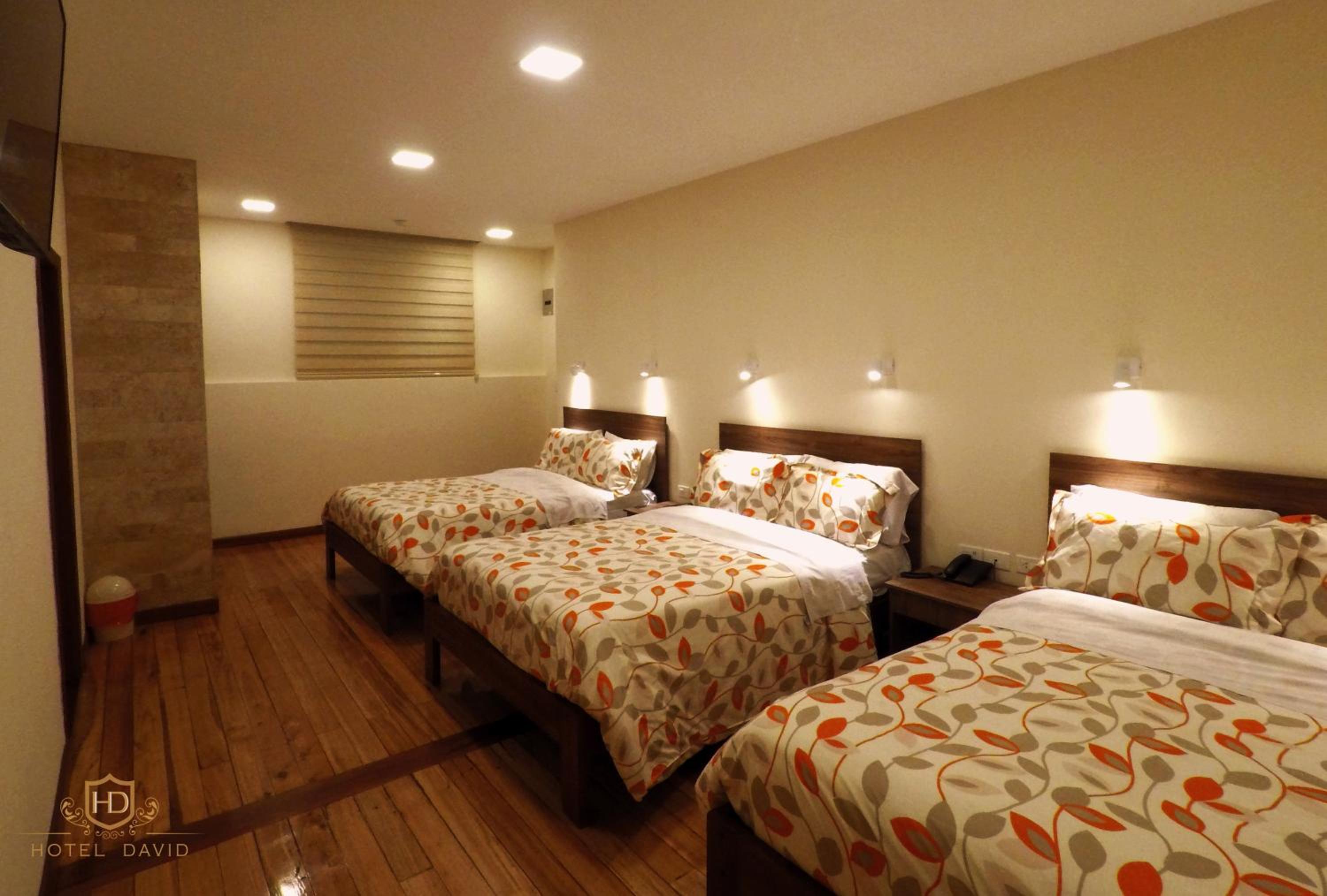 Hotel David — photo 66