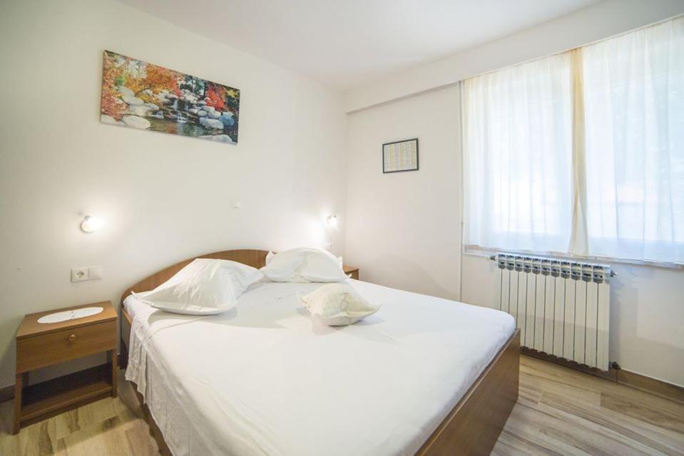 Studio Apartment - Photo 1