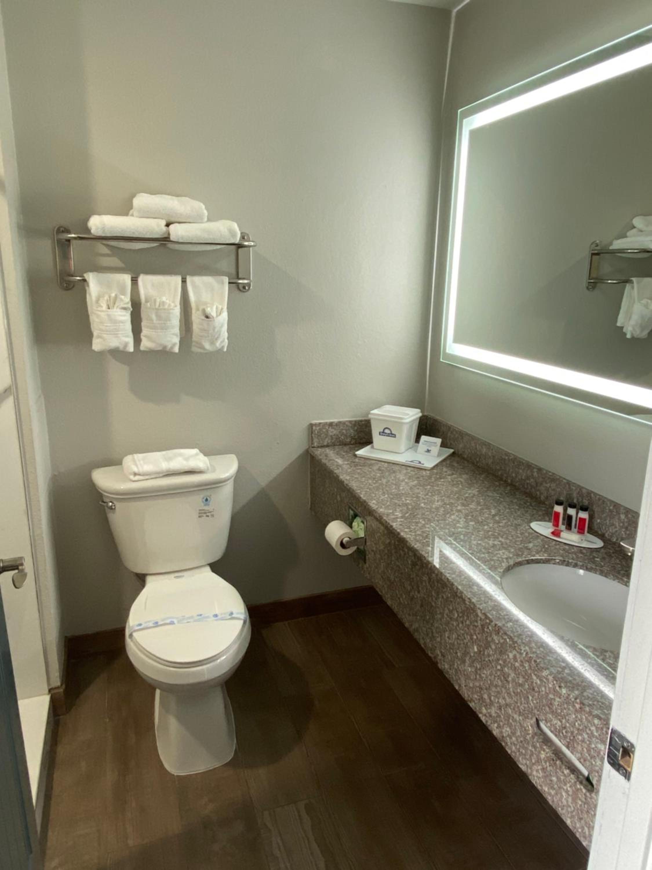 Deluxe King Room - Photo 8