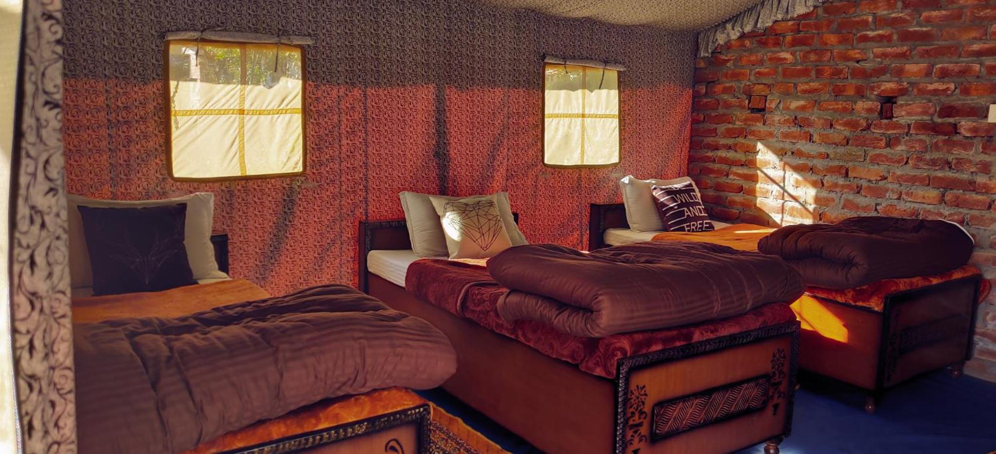 Single Bed in 4-Bed Dormitory Room photo 3