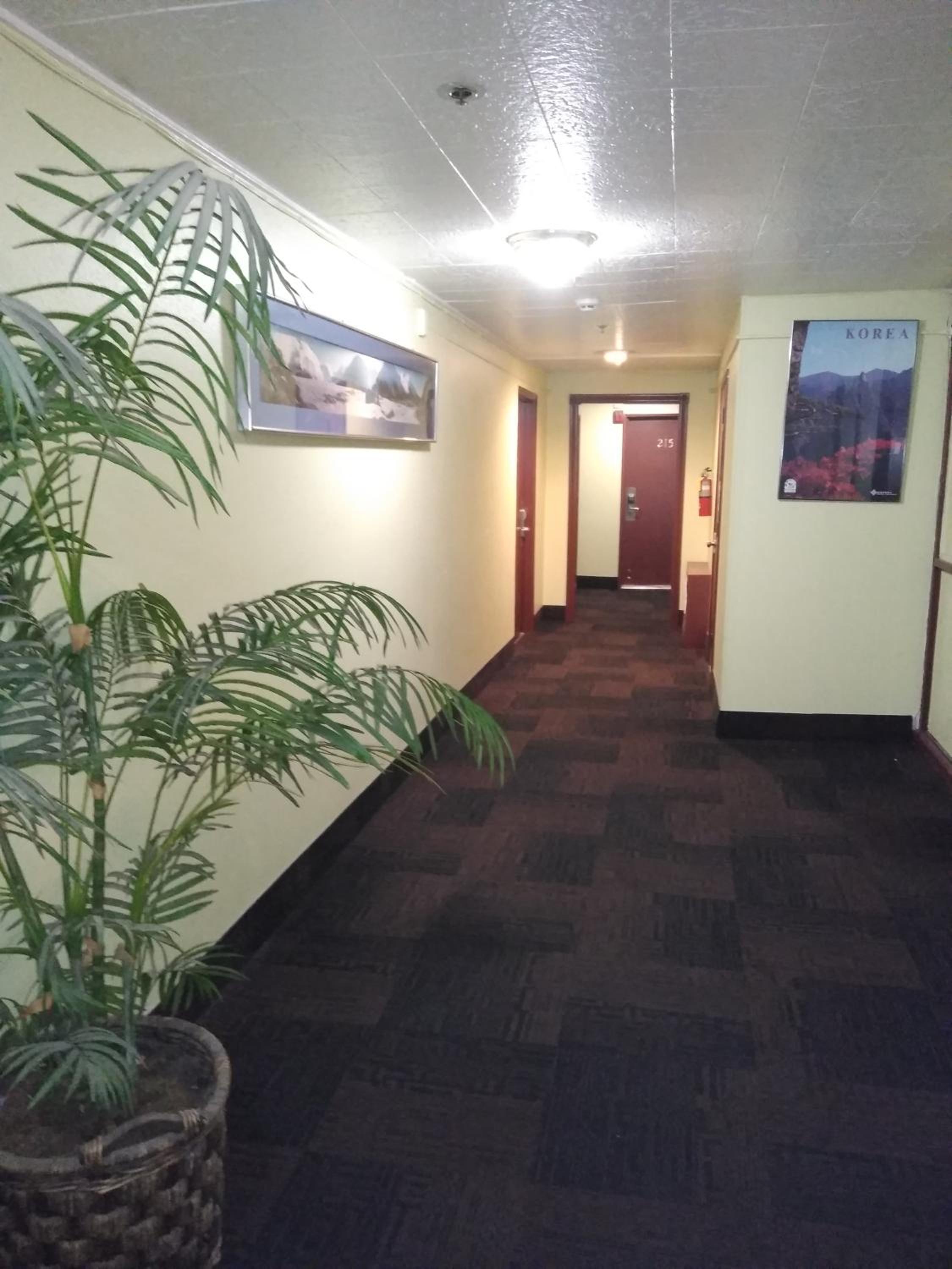 Junior Suite photo 3