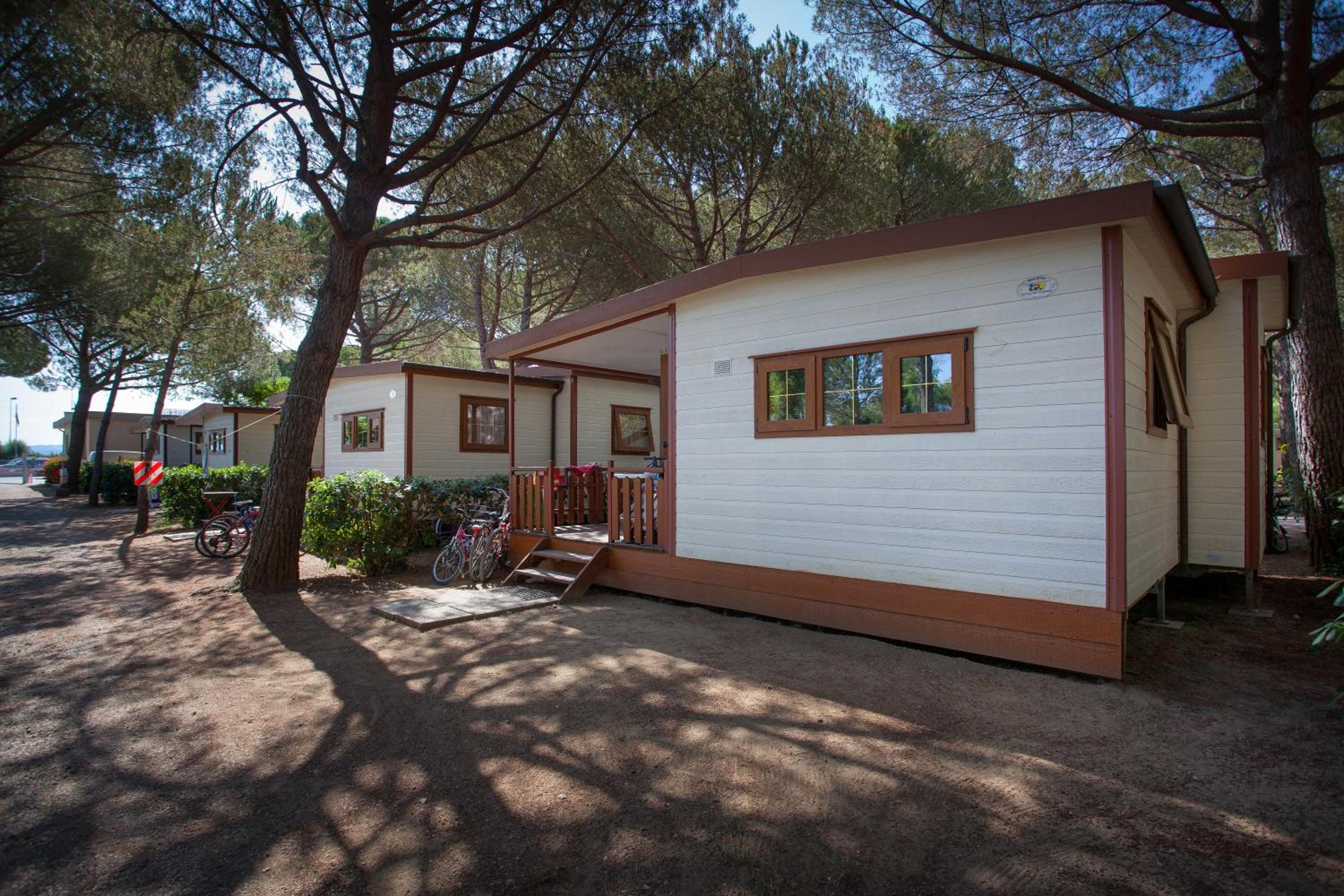 Deluxe Mobile Home photo 3