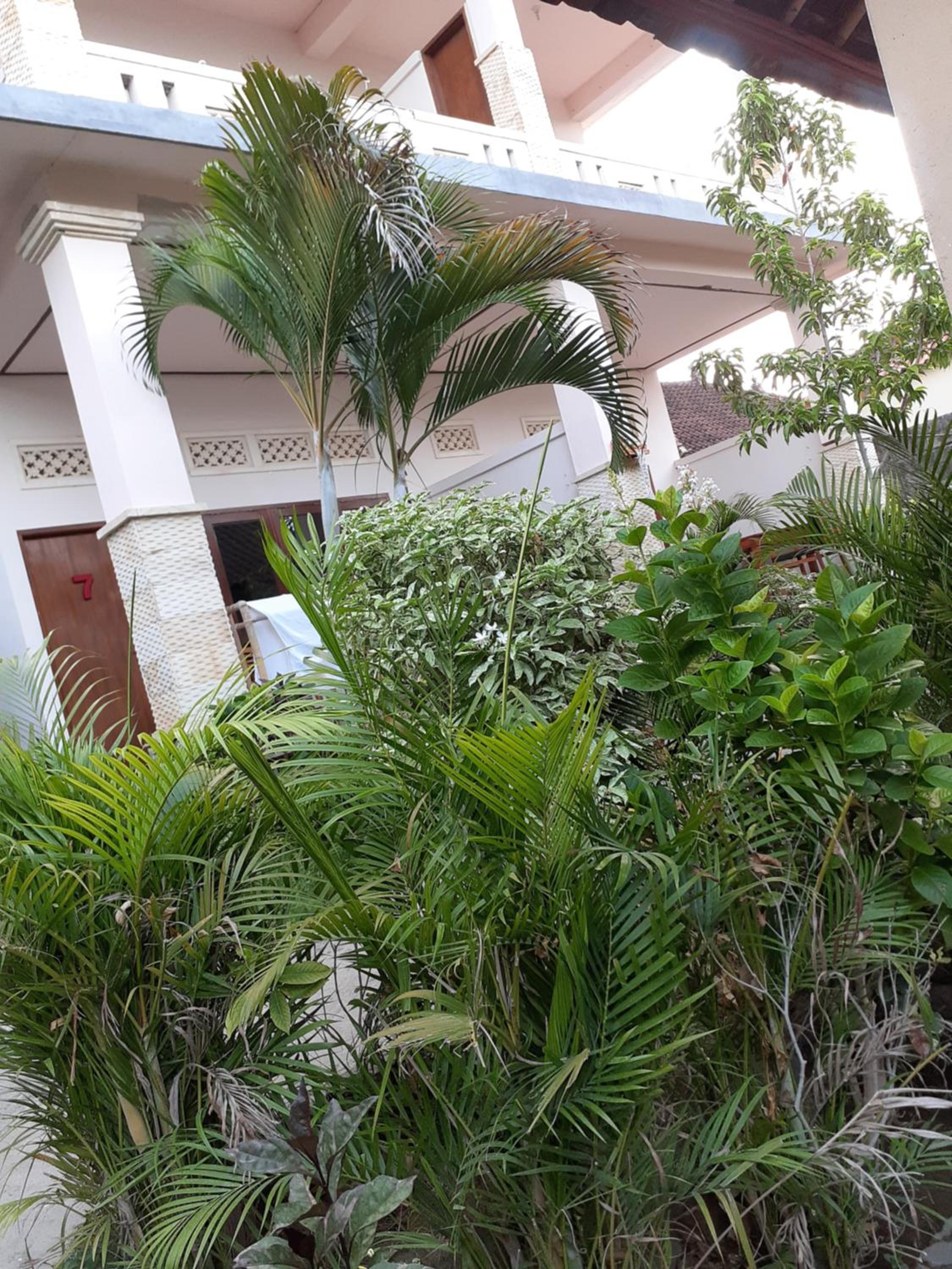 Studio with Garden View photo 3